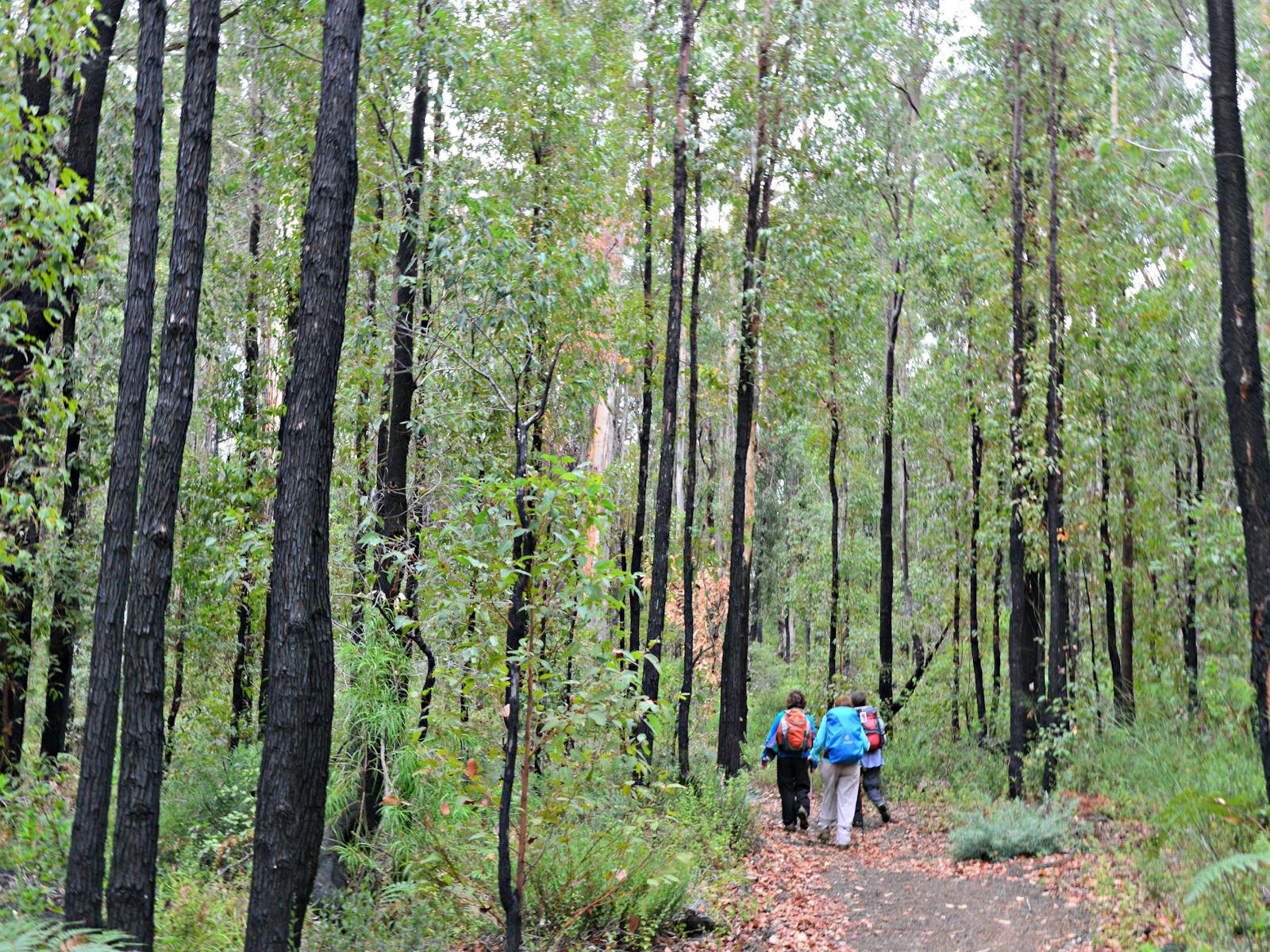 Australian Walking Holidays, Perth, Western Australia