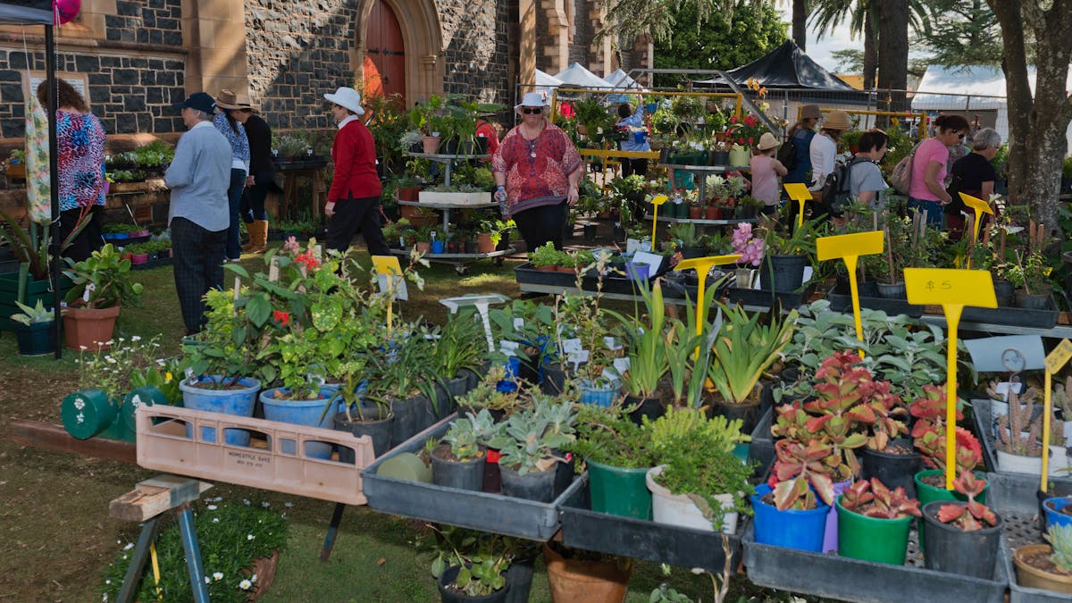 Plant Stall