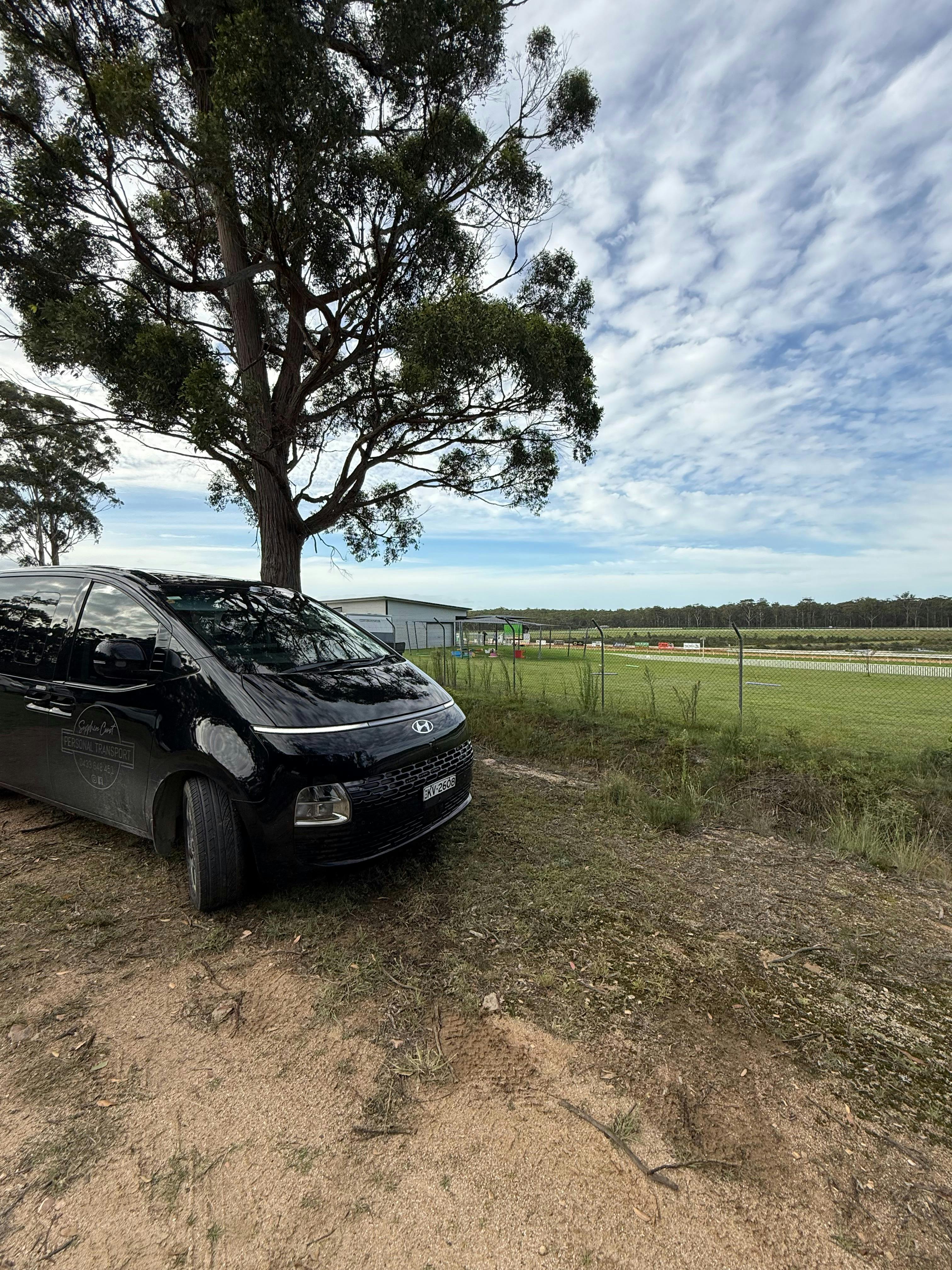 van under a tree