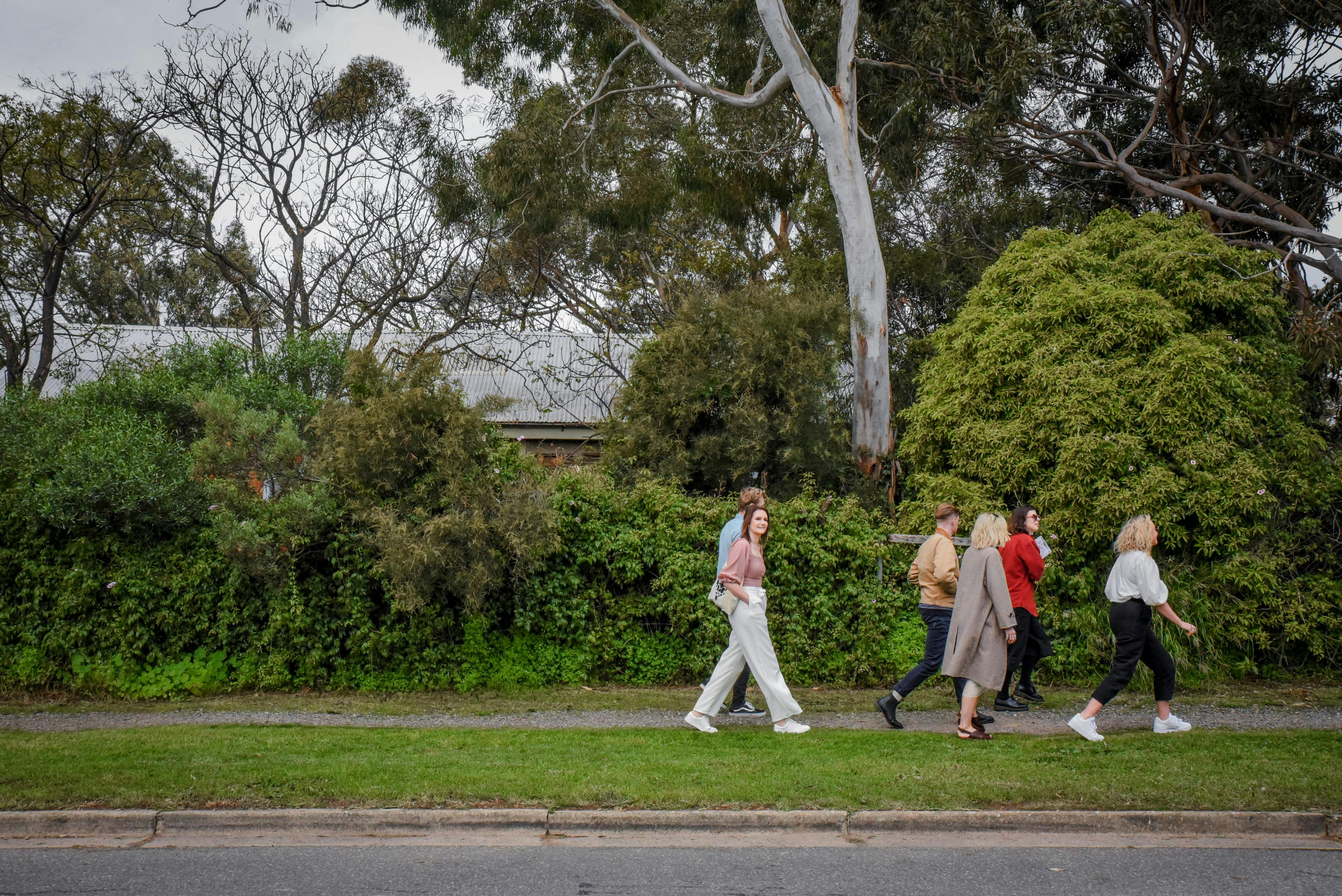 Wandering in Willunga