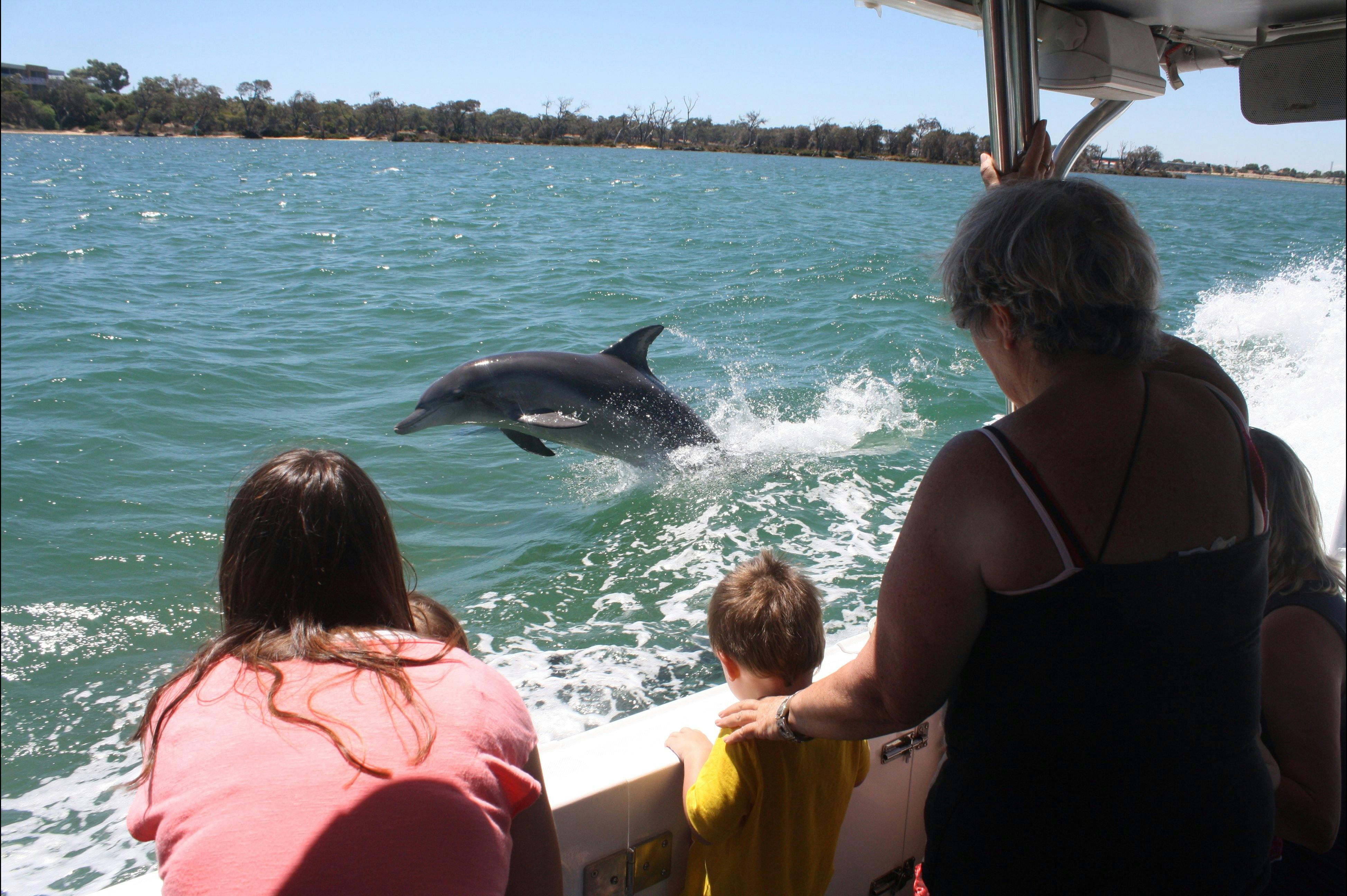 Mandurah Cruises, Mandurah, Western Australia