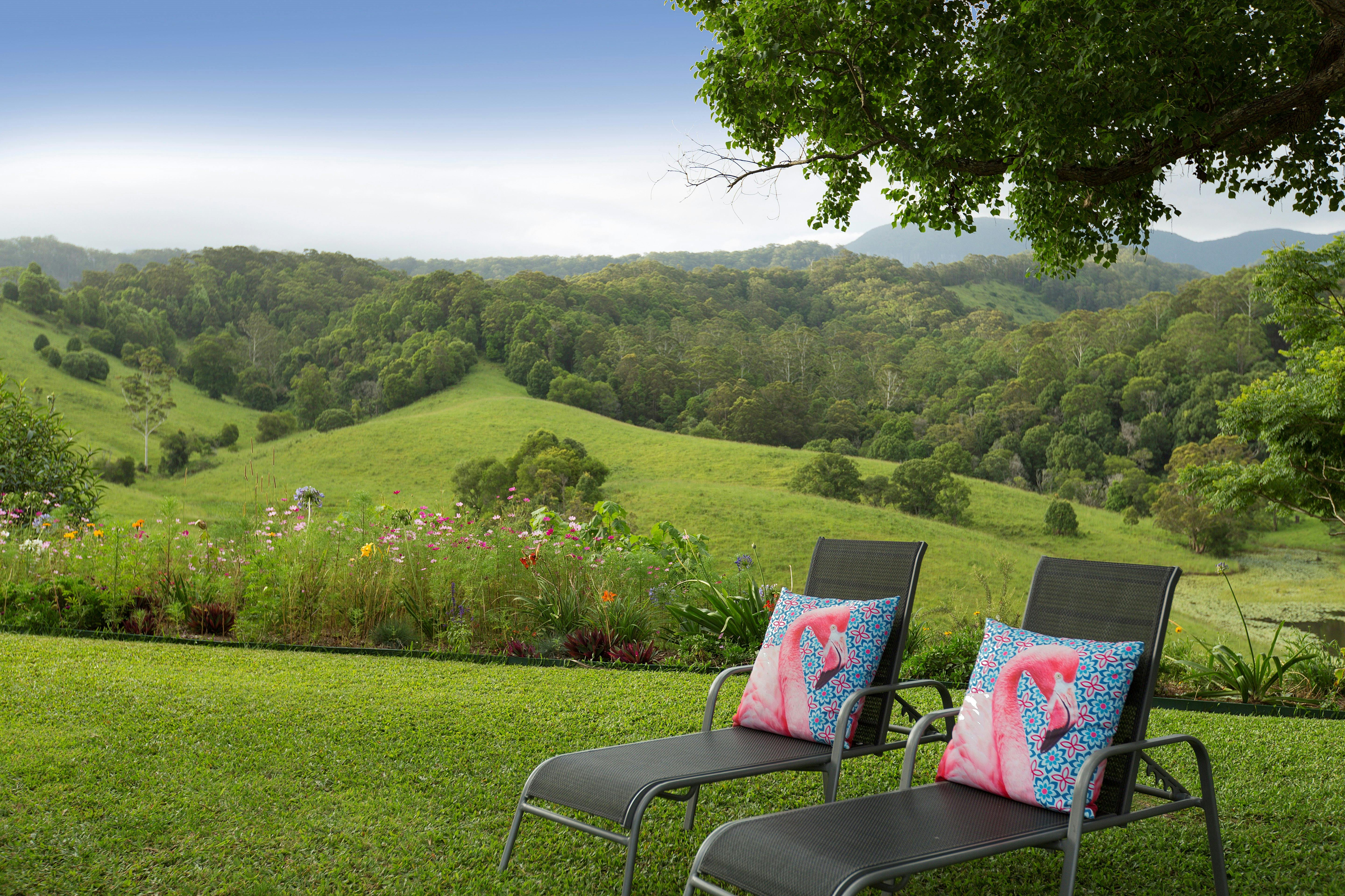 Springbrook Ranges from the Pool