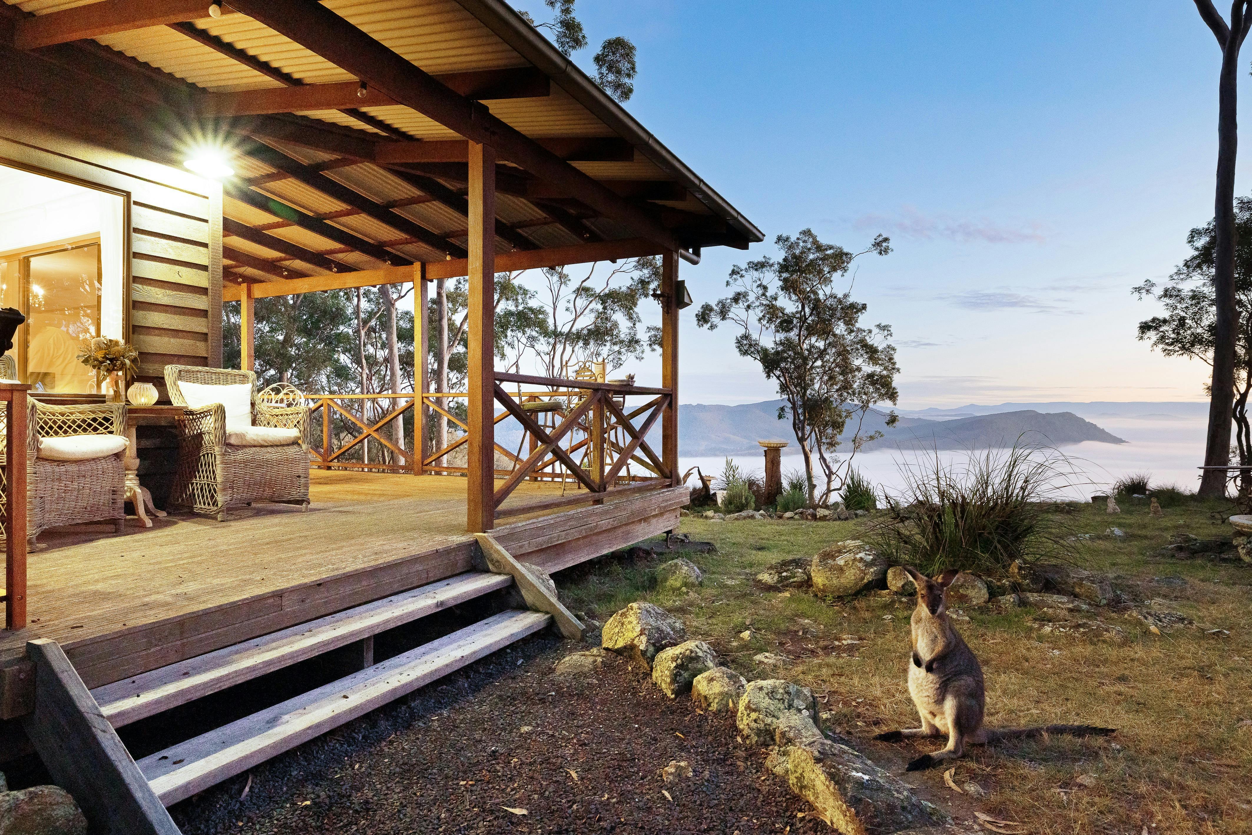 작은 둥지 데크 전망 및 왈라비