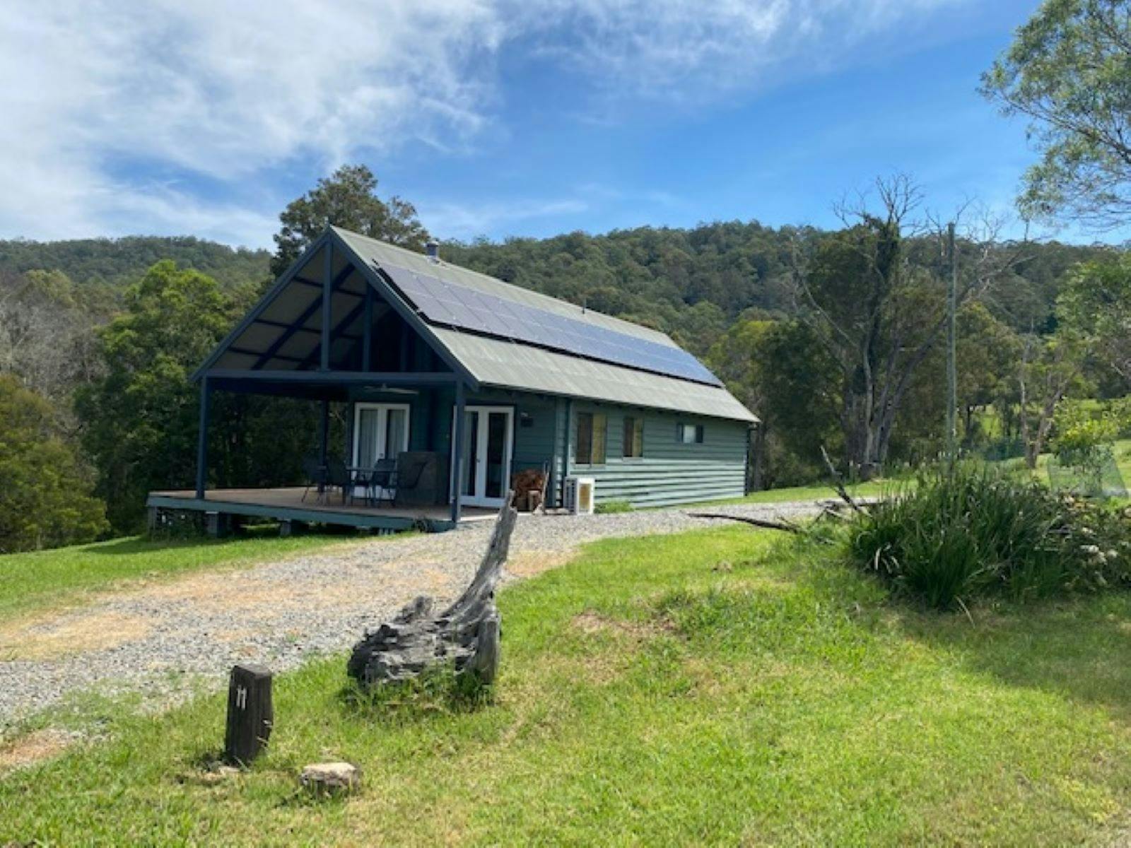 巴林顿在荒野逃生中脱颖而出