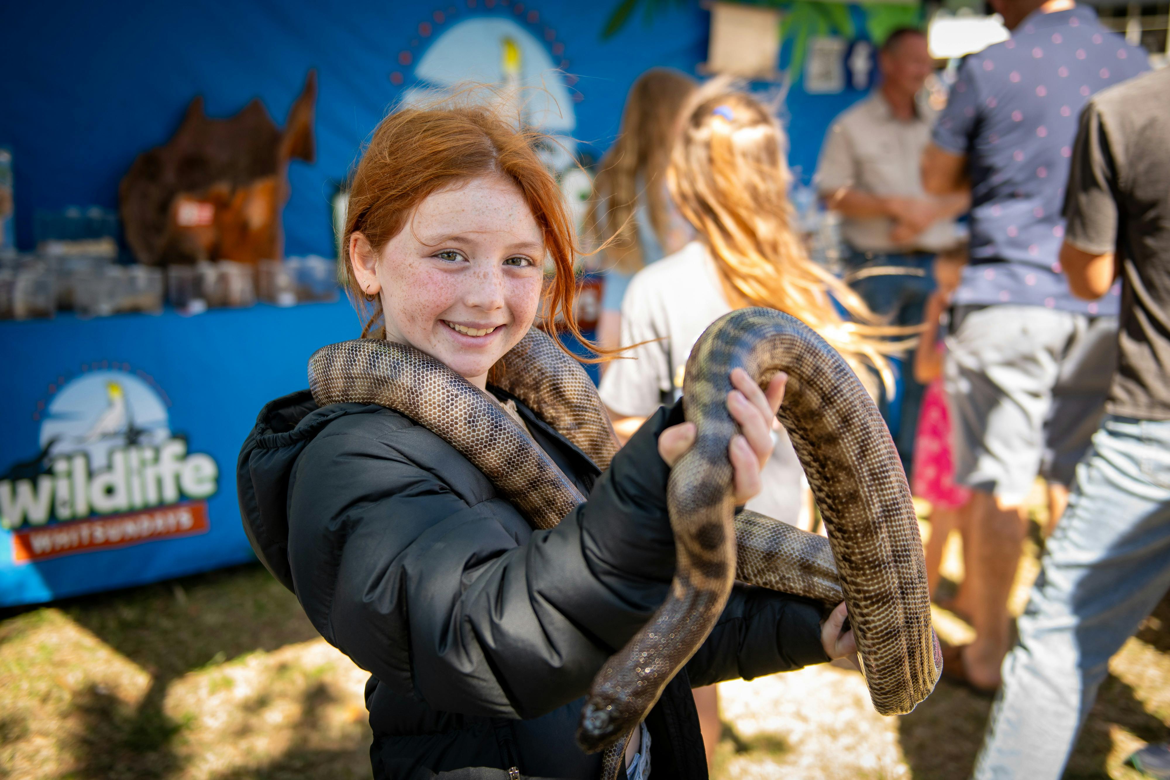Wildlife Whitsundays