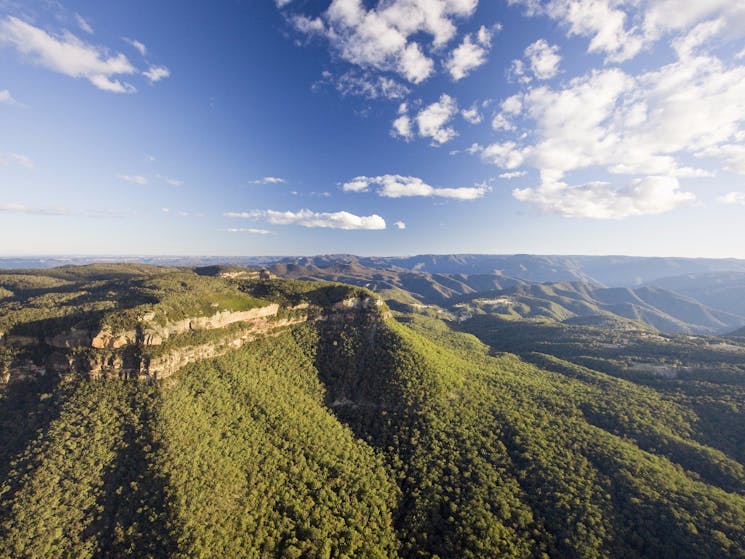 Narrow Neck Blue Mountains