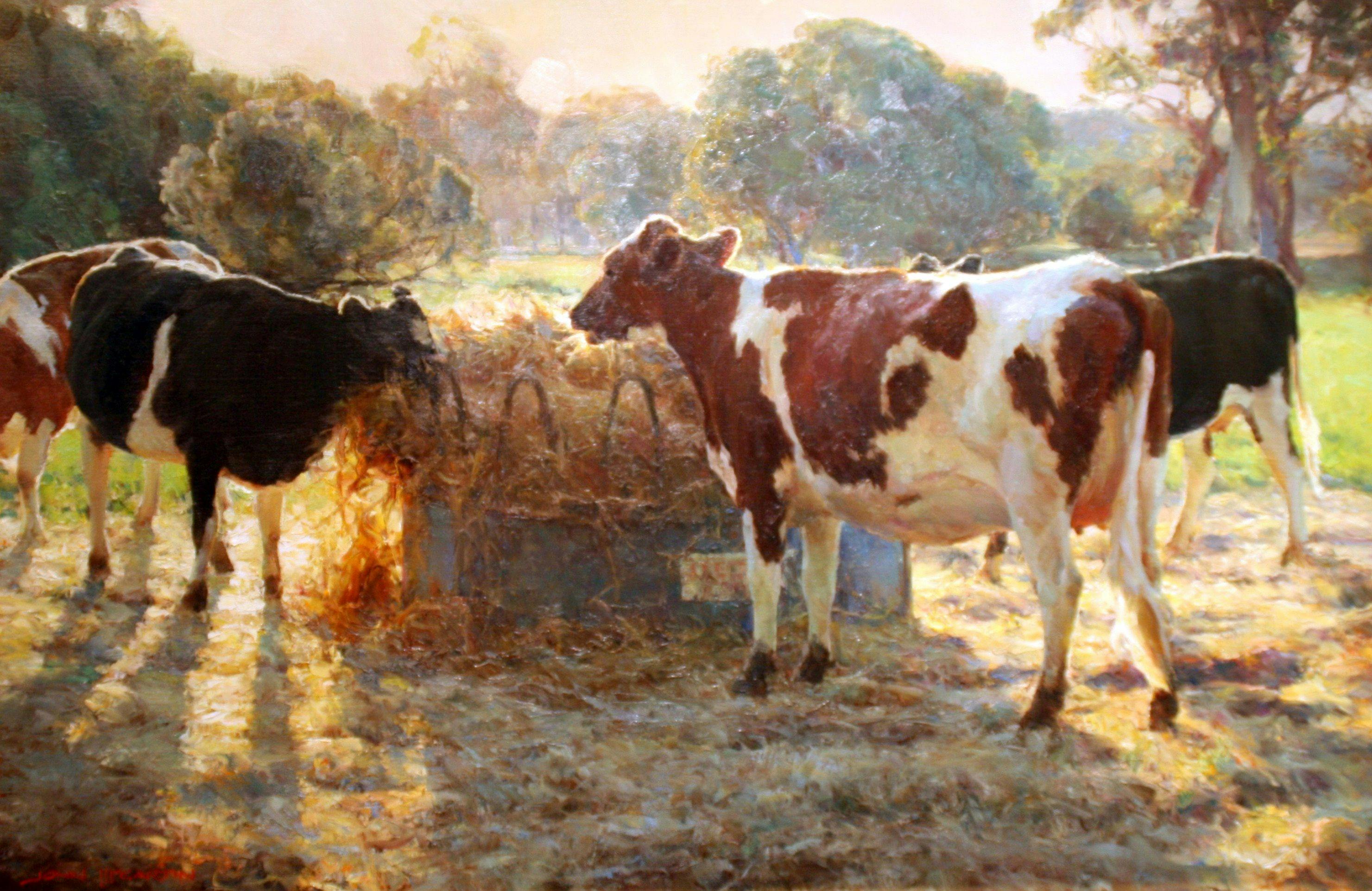 John McCartin has won 114 International Art Awards since 2011