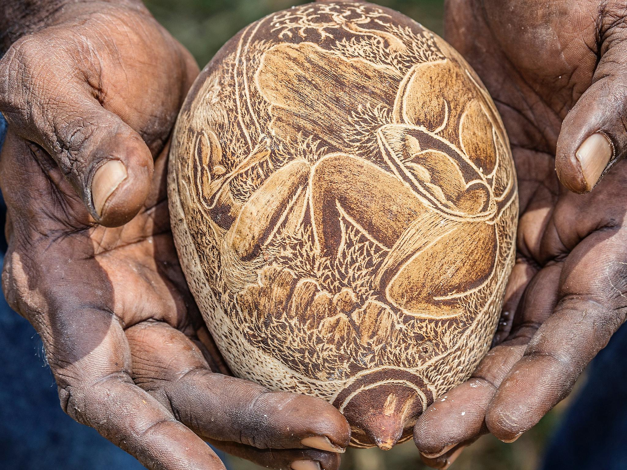 Hand carved Kimberley boab nut