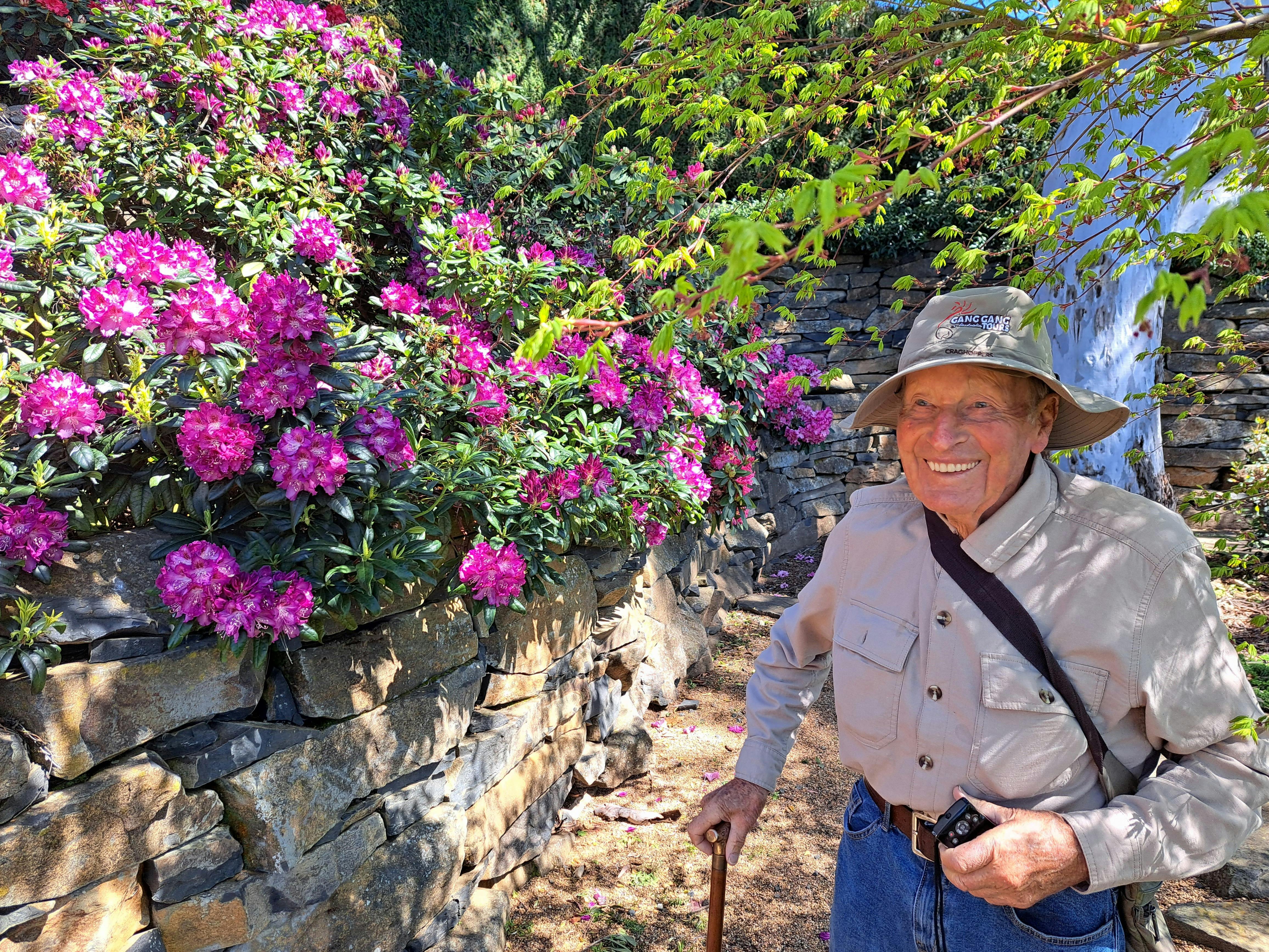 senior gentleman beside rock wall and pink blooms