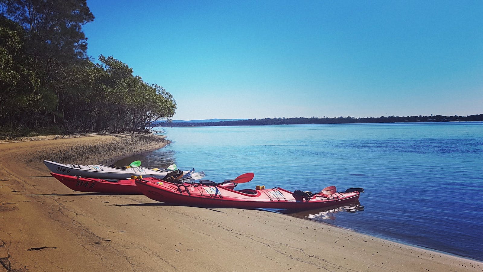 Yamba Kayak Hire