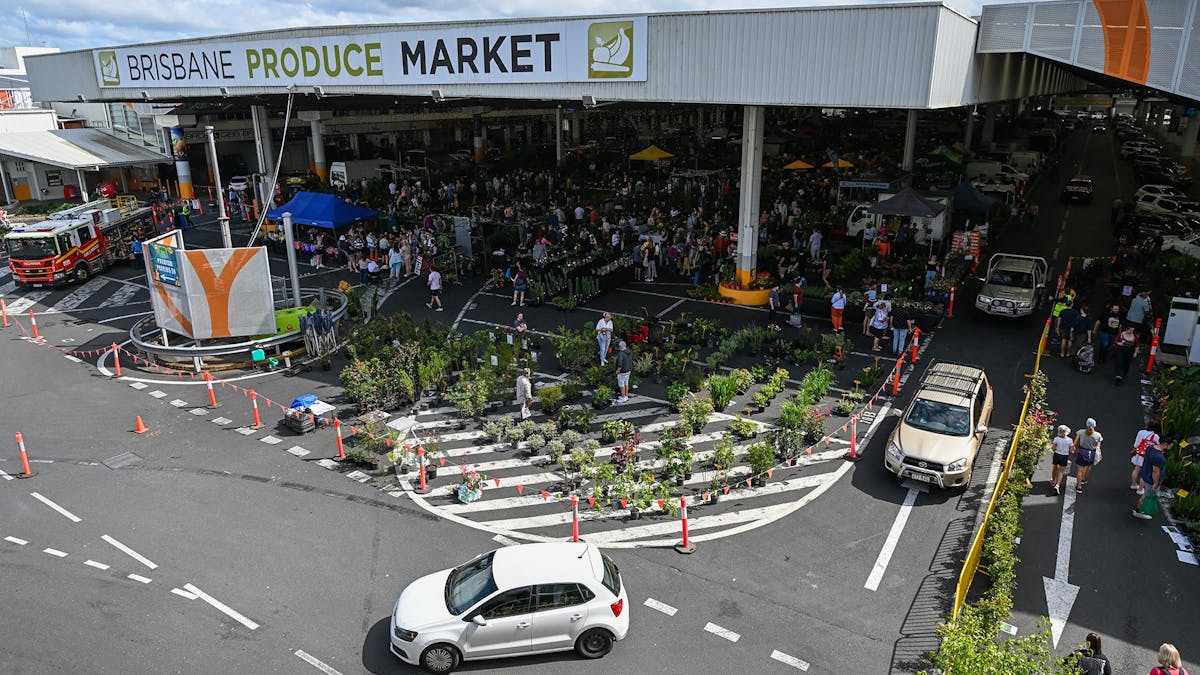 A large warehouse building with plants outside and cars driving out.