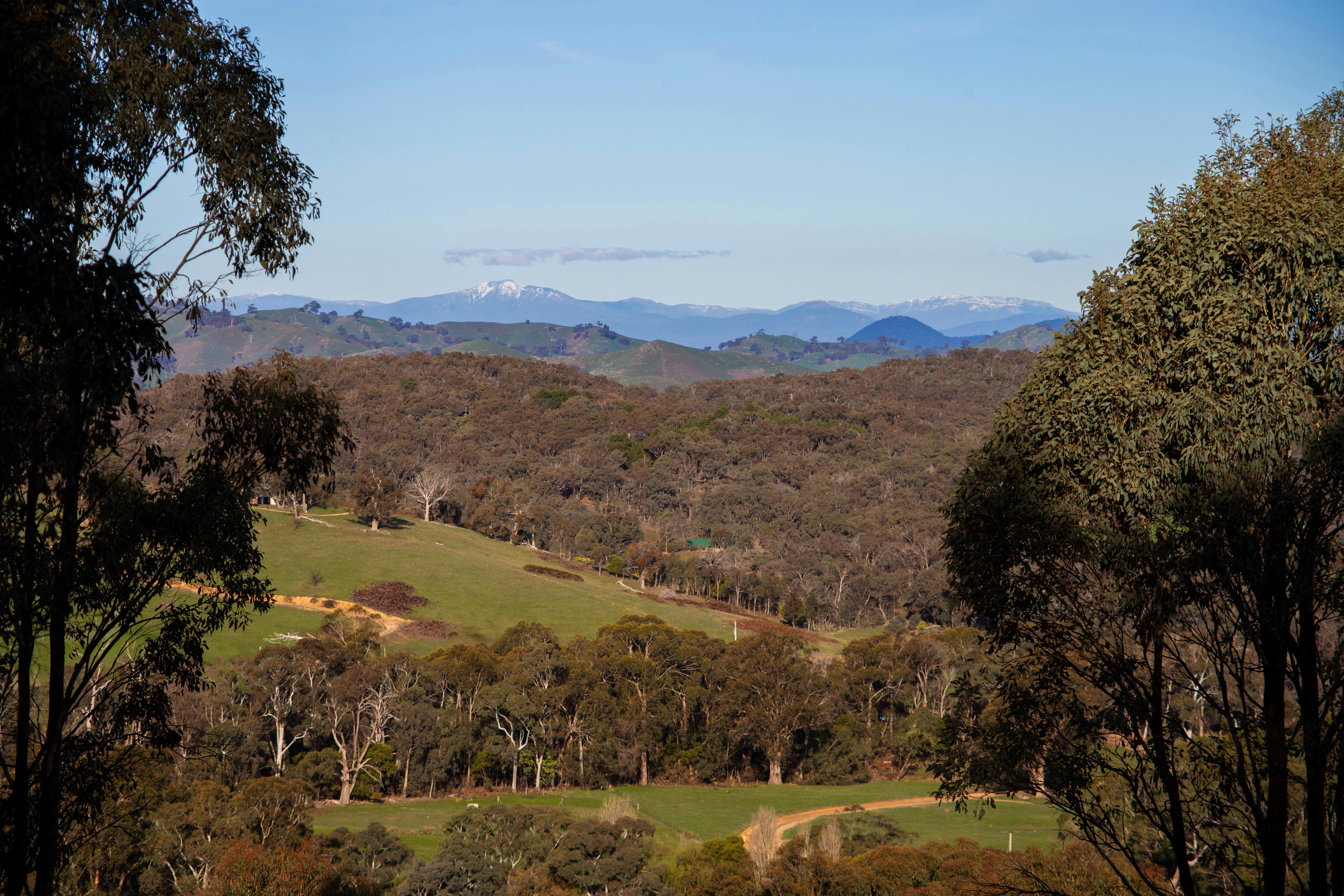 View of the property looking towards Mt Buller