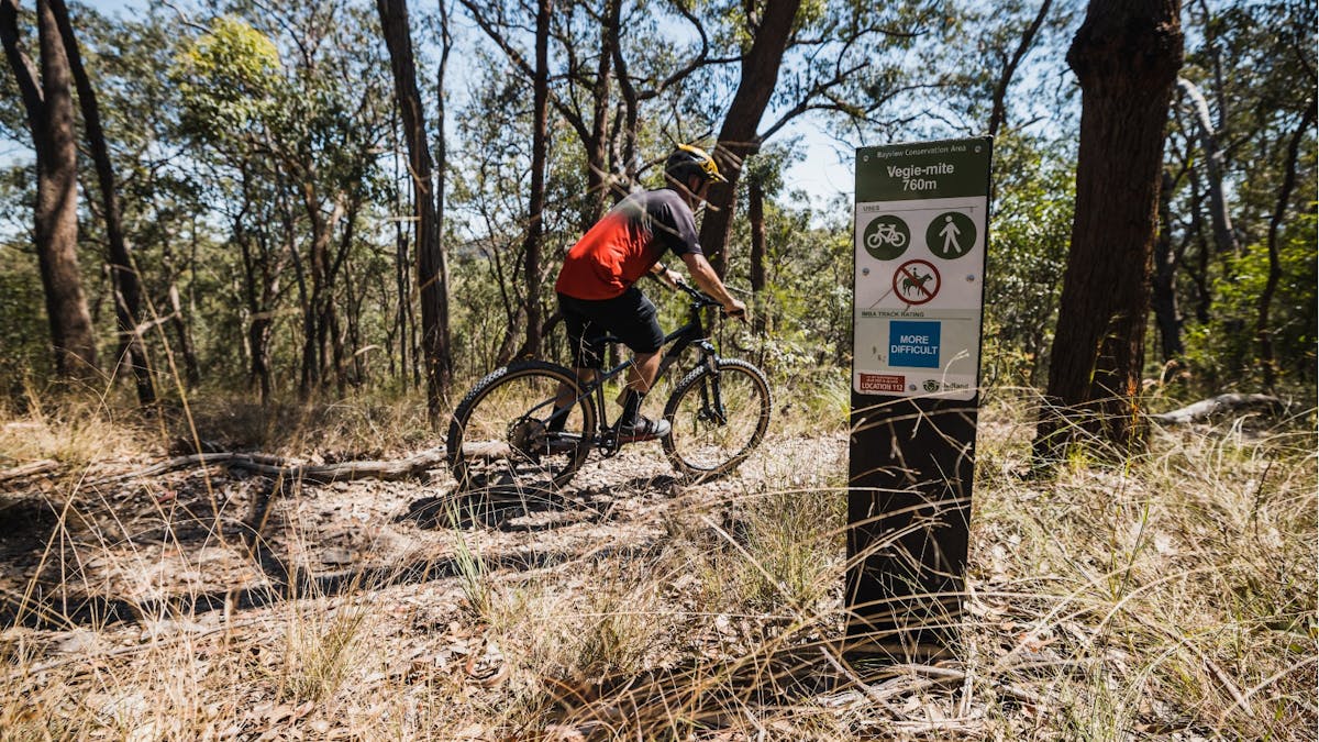 Bike rider cycling Vegie-Mite Track in Bayview Conservation Area on a sunny day, Redlands Coast