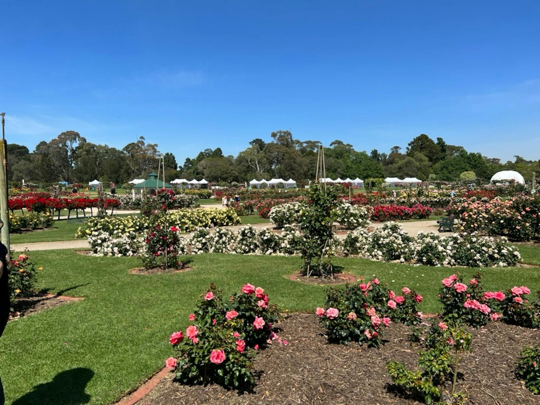Werribee Park Heritage Orchard