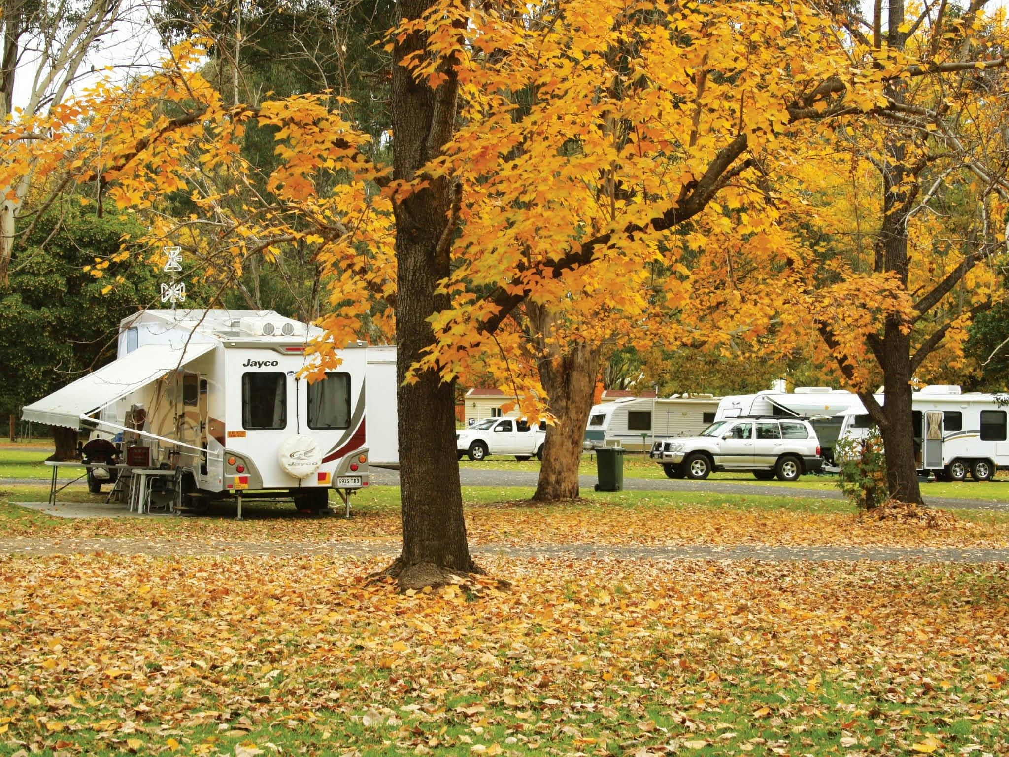 約翰奧克斯利房車公園編輯