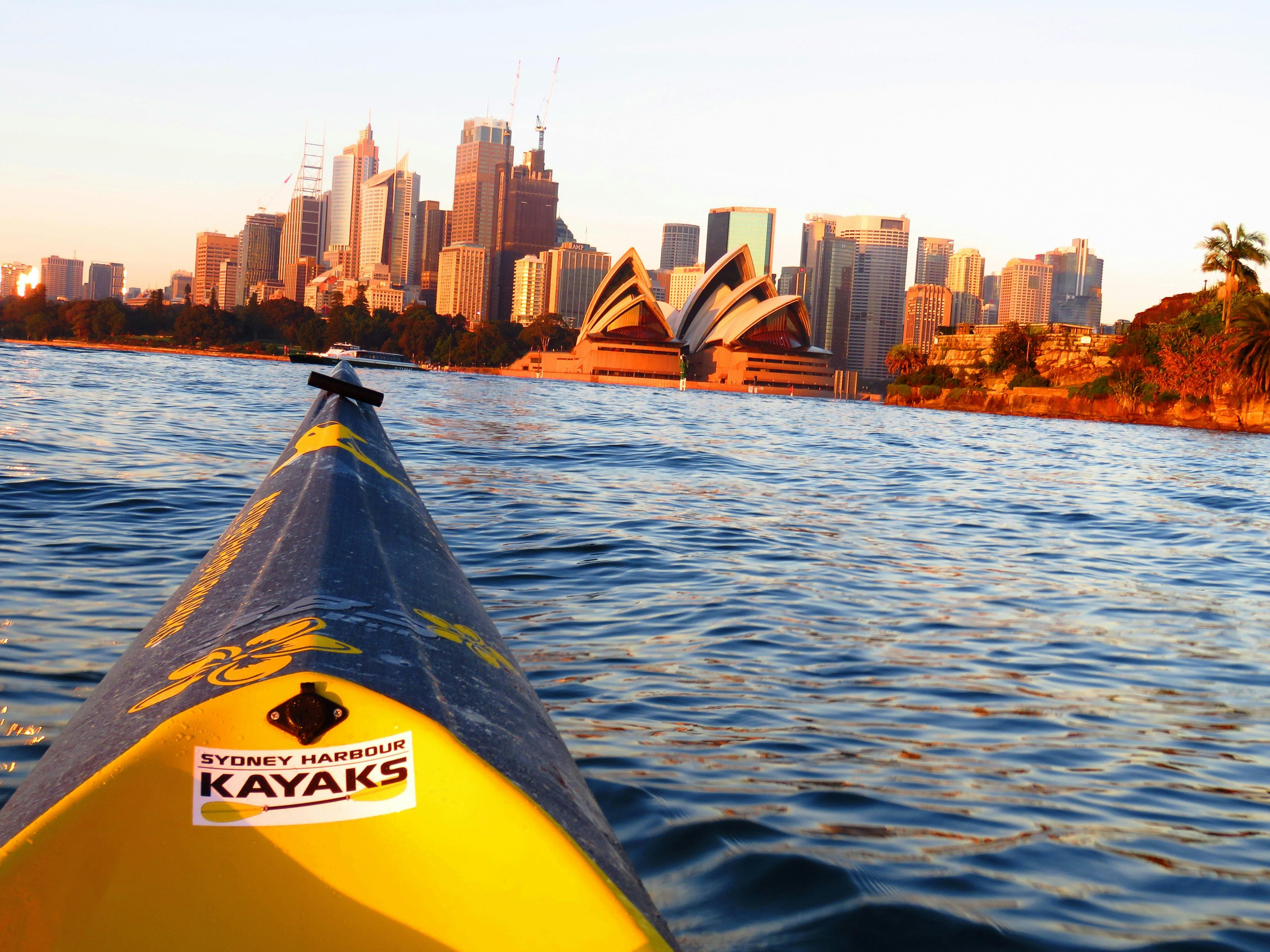 Sydney Harbour 'SUNRISER' Sea Kayaking Tour | Sydney, Australia ...