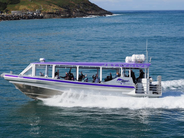 Boat called "Mega Wild" driving in the water, has a purple roof and open sides.