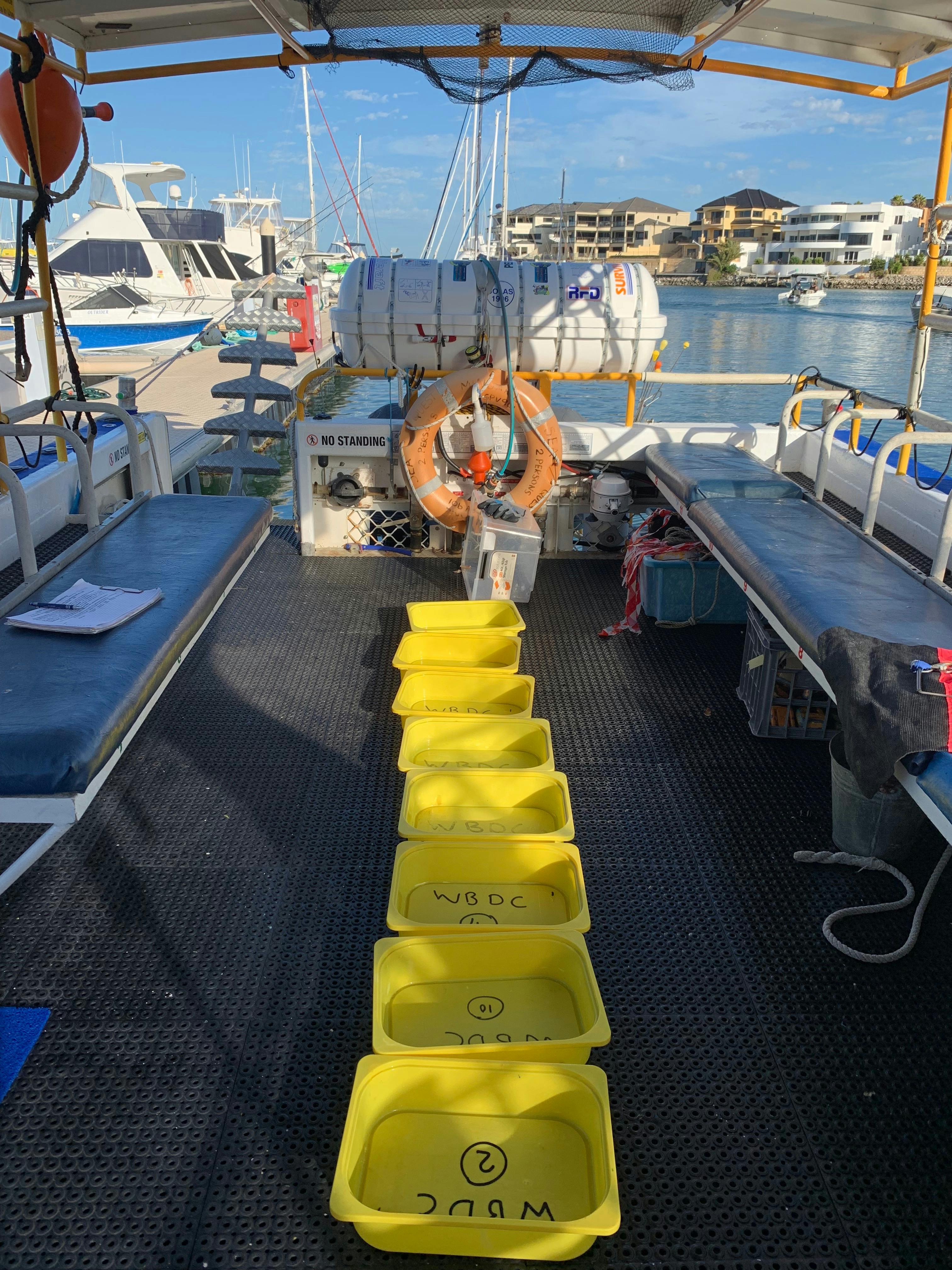 Deck Space