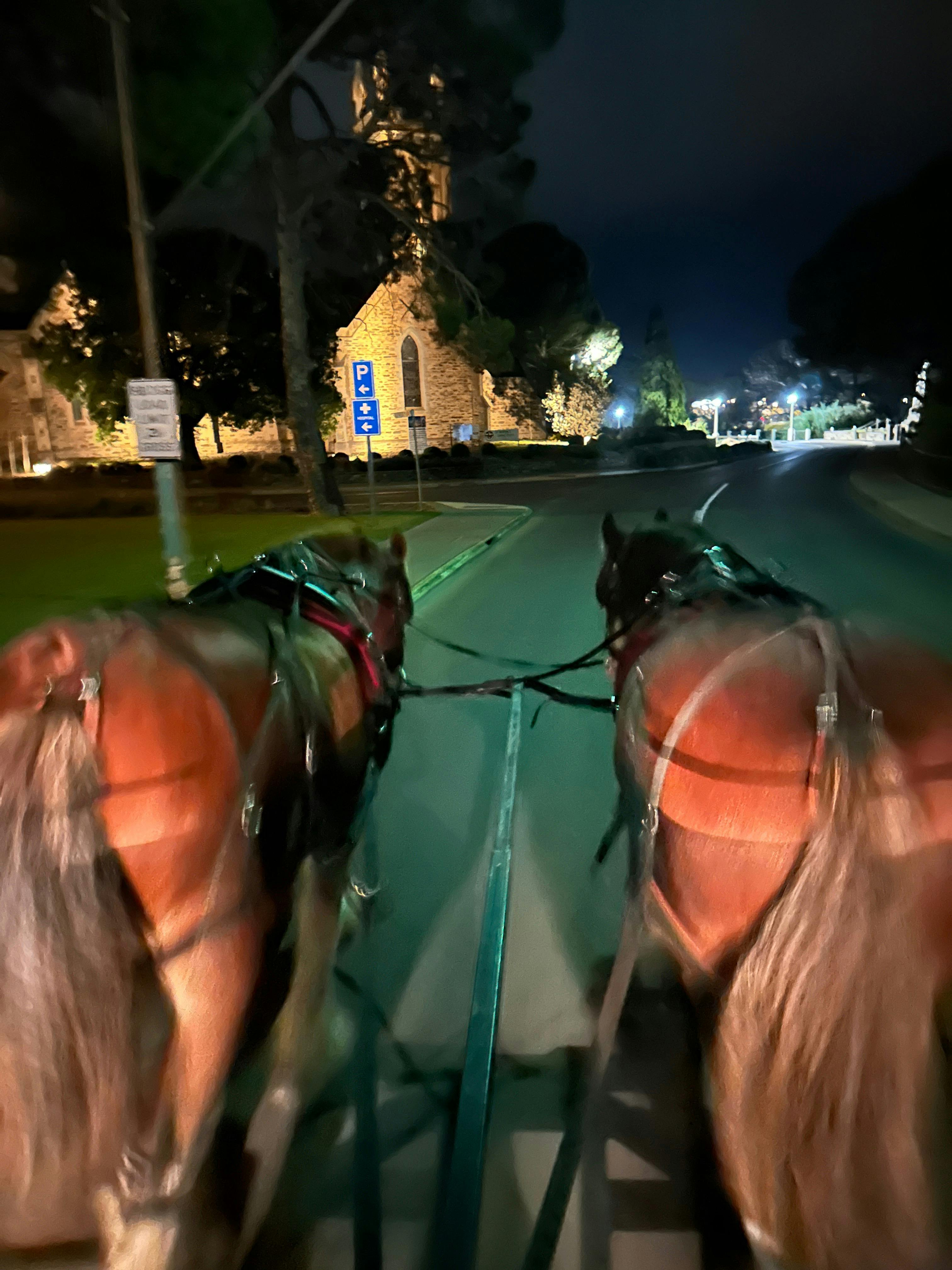 Horse Drawn Dark History Tour