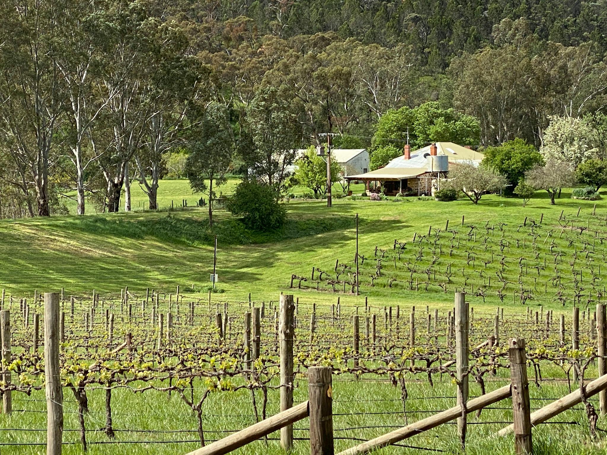 wine tours clare valley
