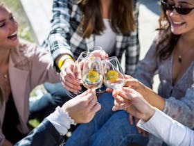 Hunter Valley Wine and Beer Festival