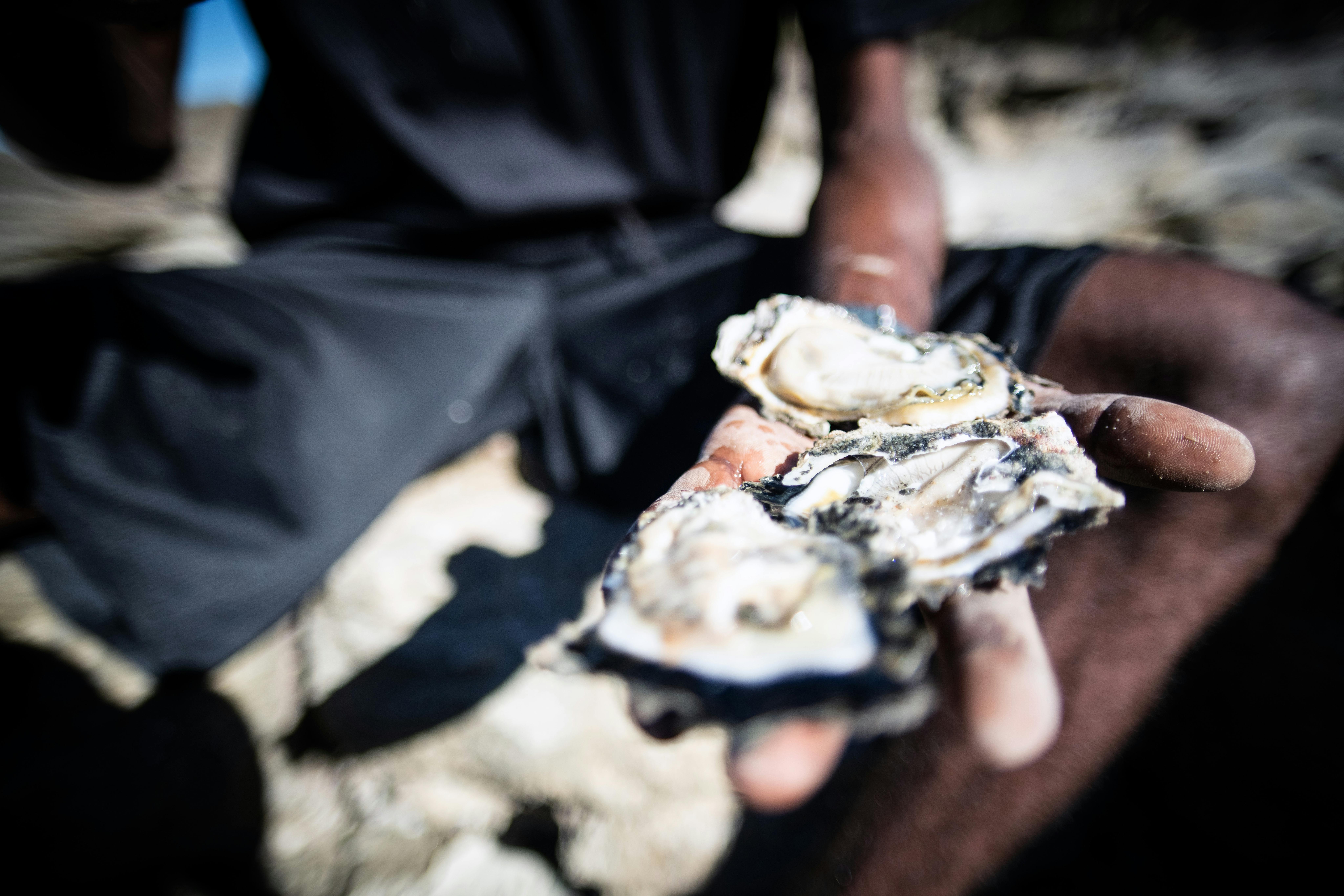 Borrgoron Coast to Creek Tours