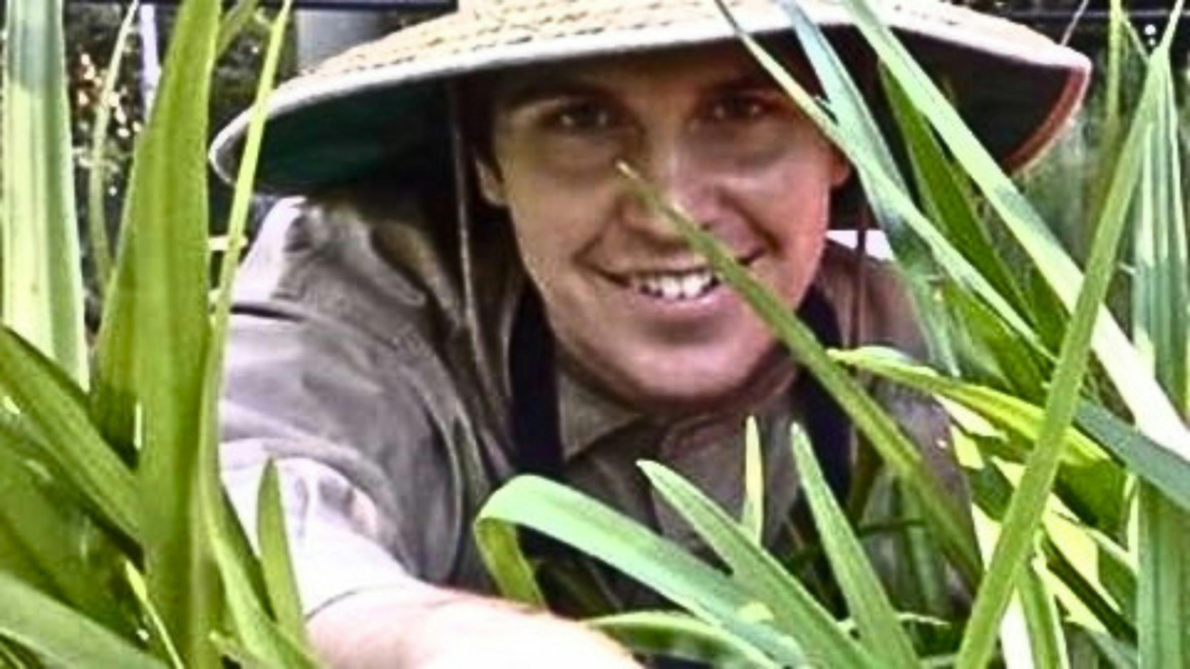 World Environment Day