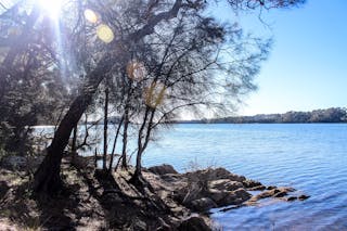 Bodalla Forest Rest Area