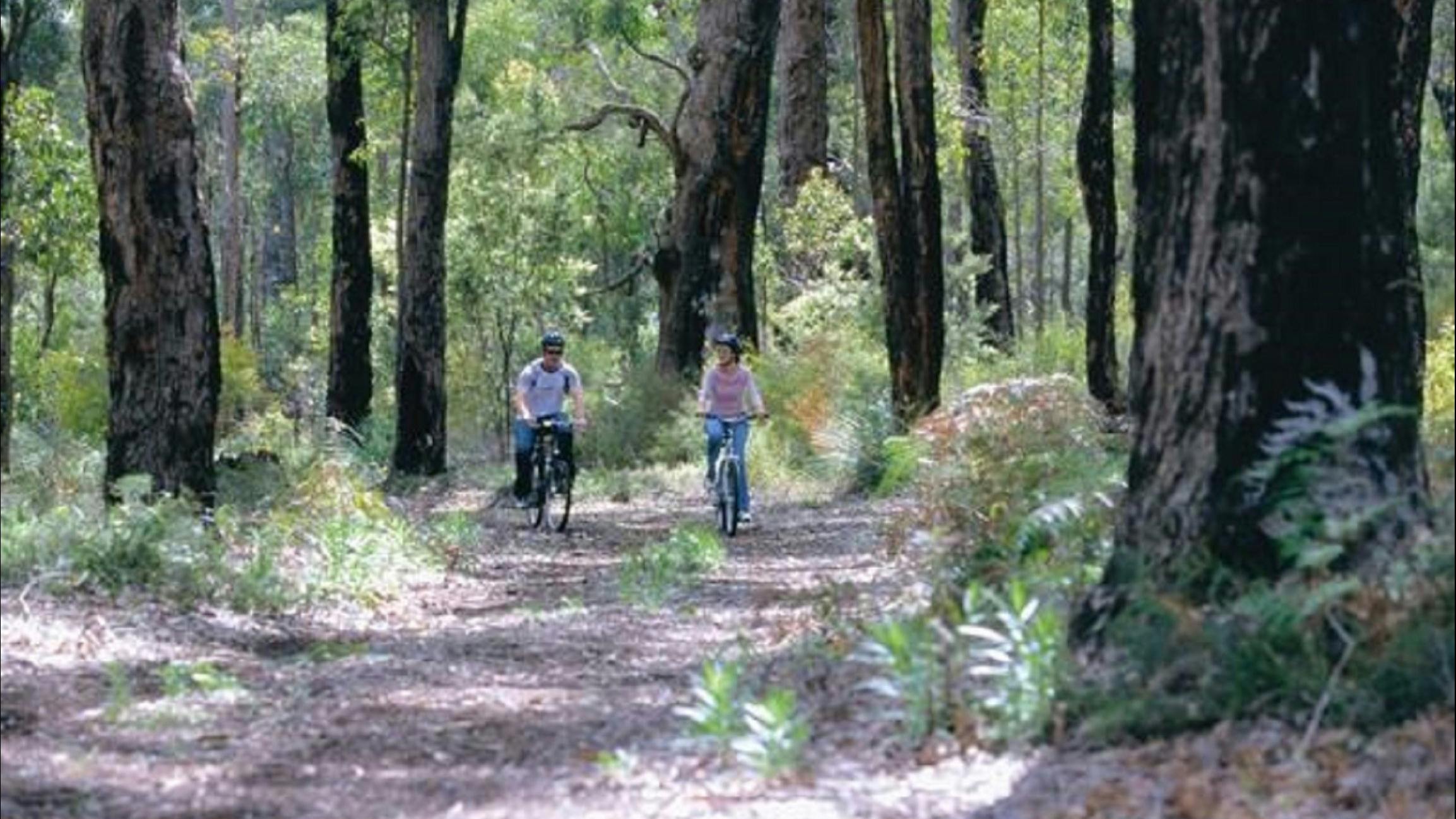 Honeymoon Pool Stones Brook Camp At Wellington National Park Accommodation Tourism Western Australia
