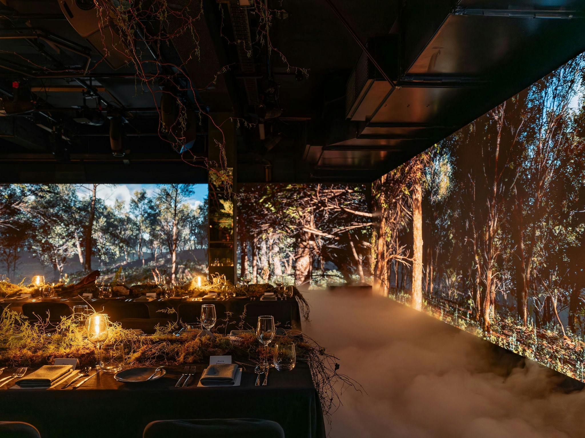 An immersive dining experience with fog and forest styling