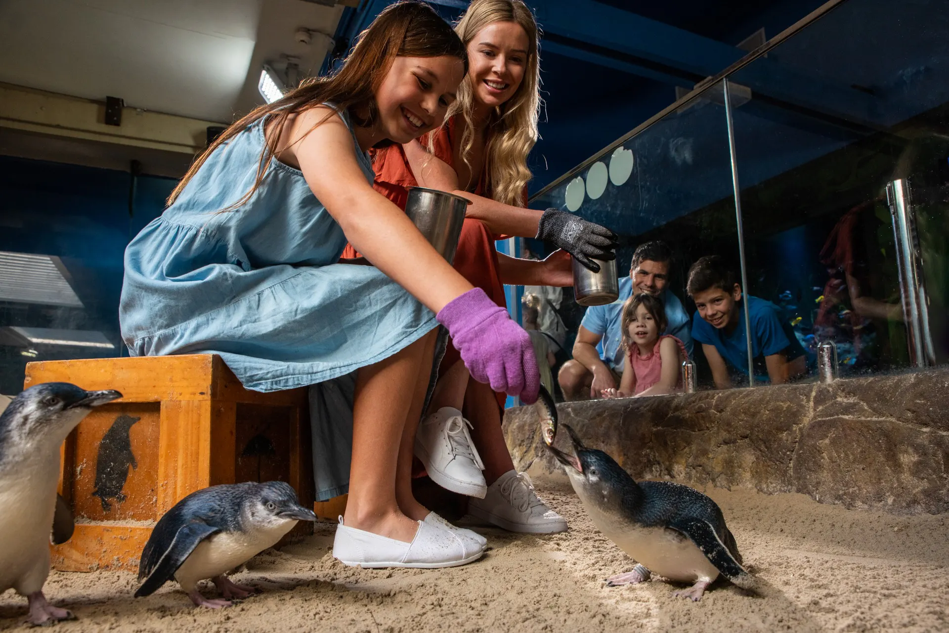 Family feeding penguin during Penguin Encounter