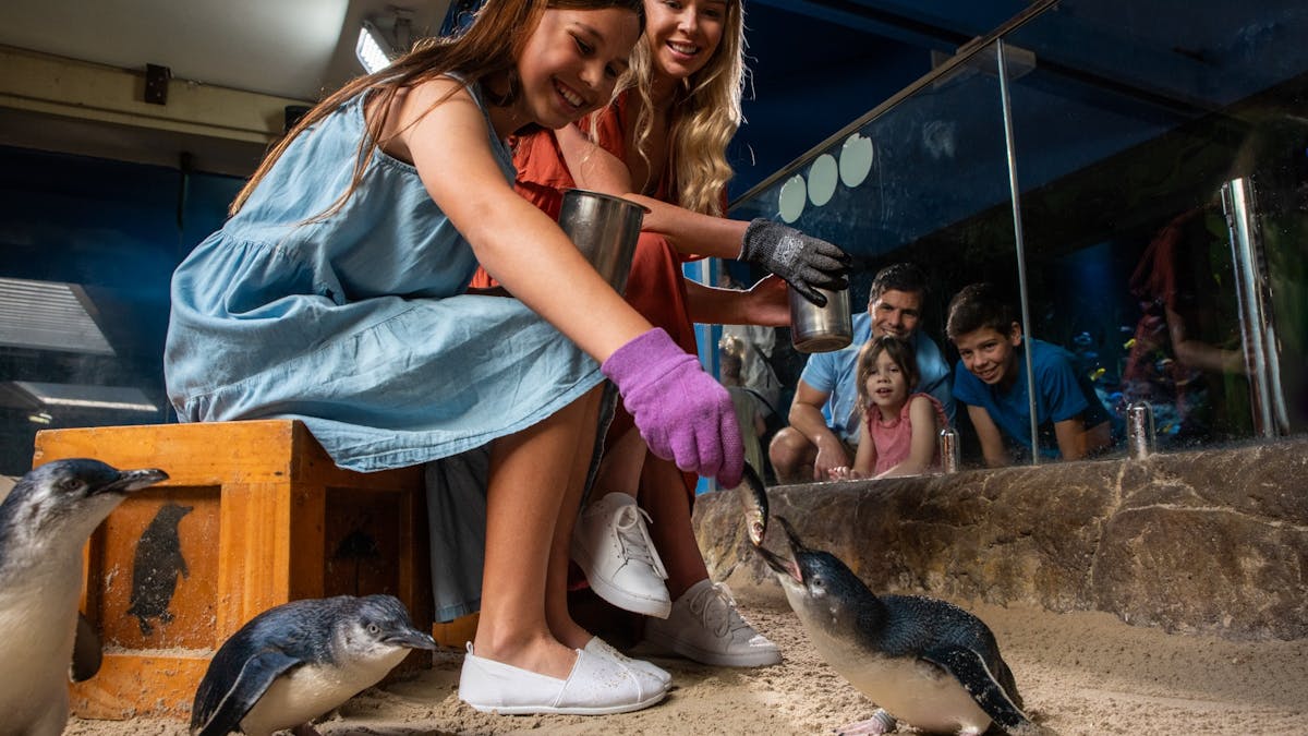 Family feeding penguin during Penguin Encounter