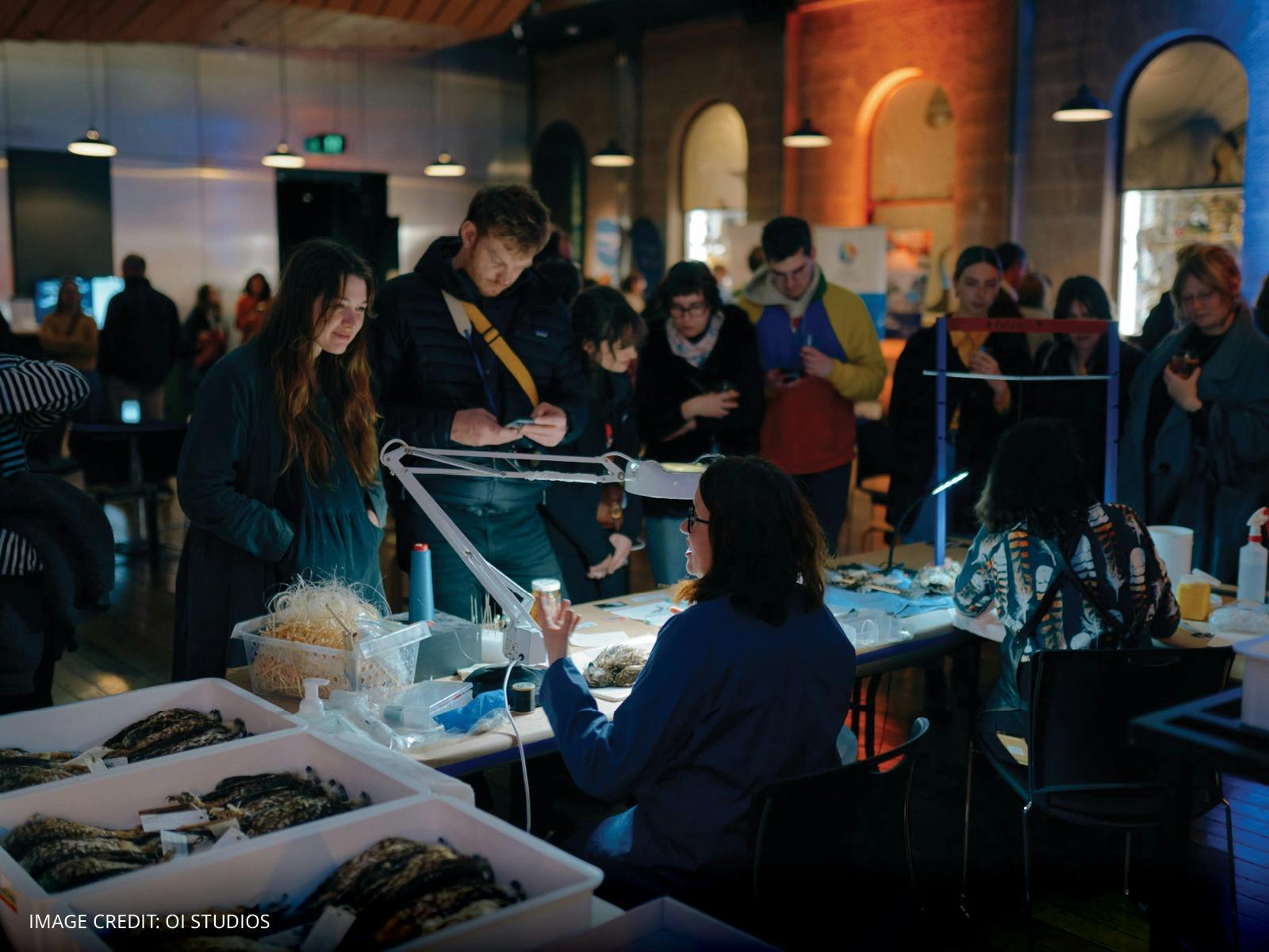 An image of people at TMAG after hours, viewing an exhibit