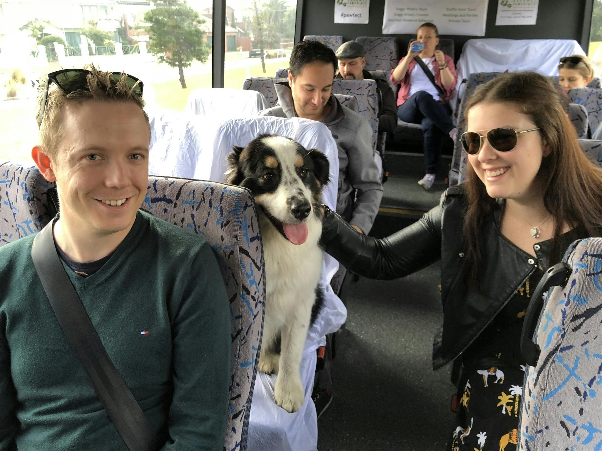 Bella The Dog Welcoming Bus