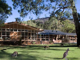 Wilpena Pound Resort - Flinders Ranges, SA