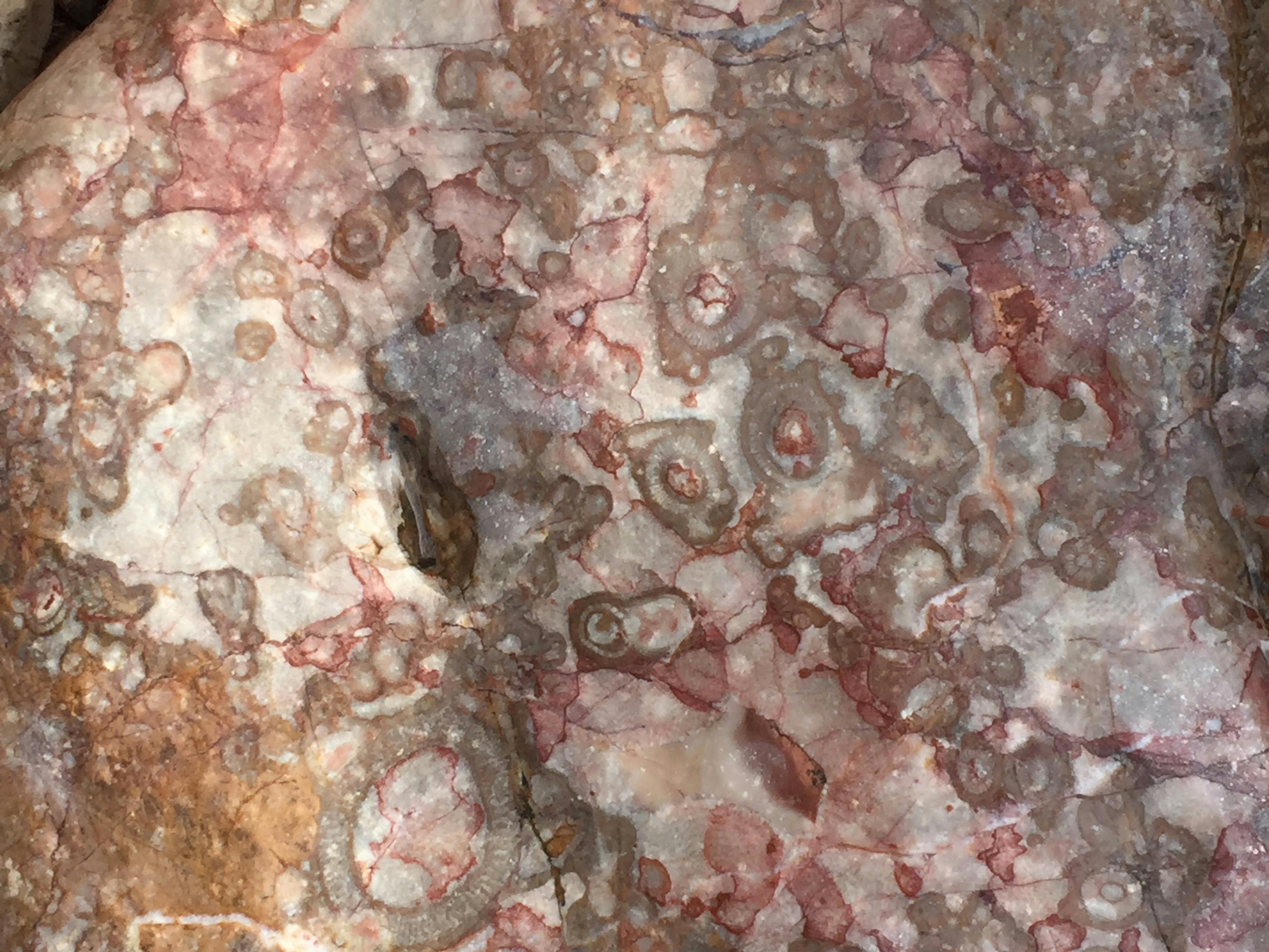 Flinders Ranges