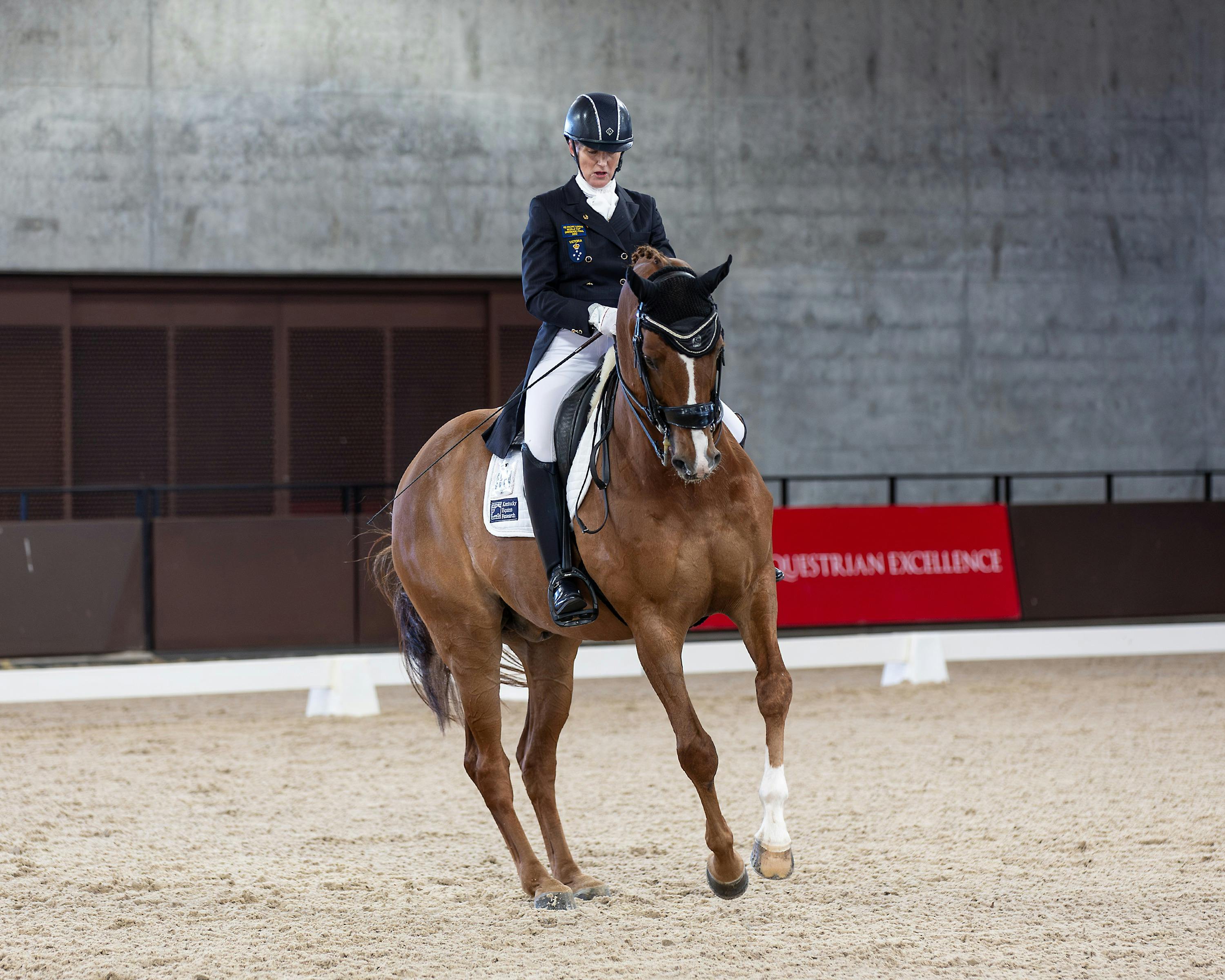 Willinga Park Dressage@Willinga