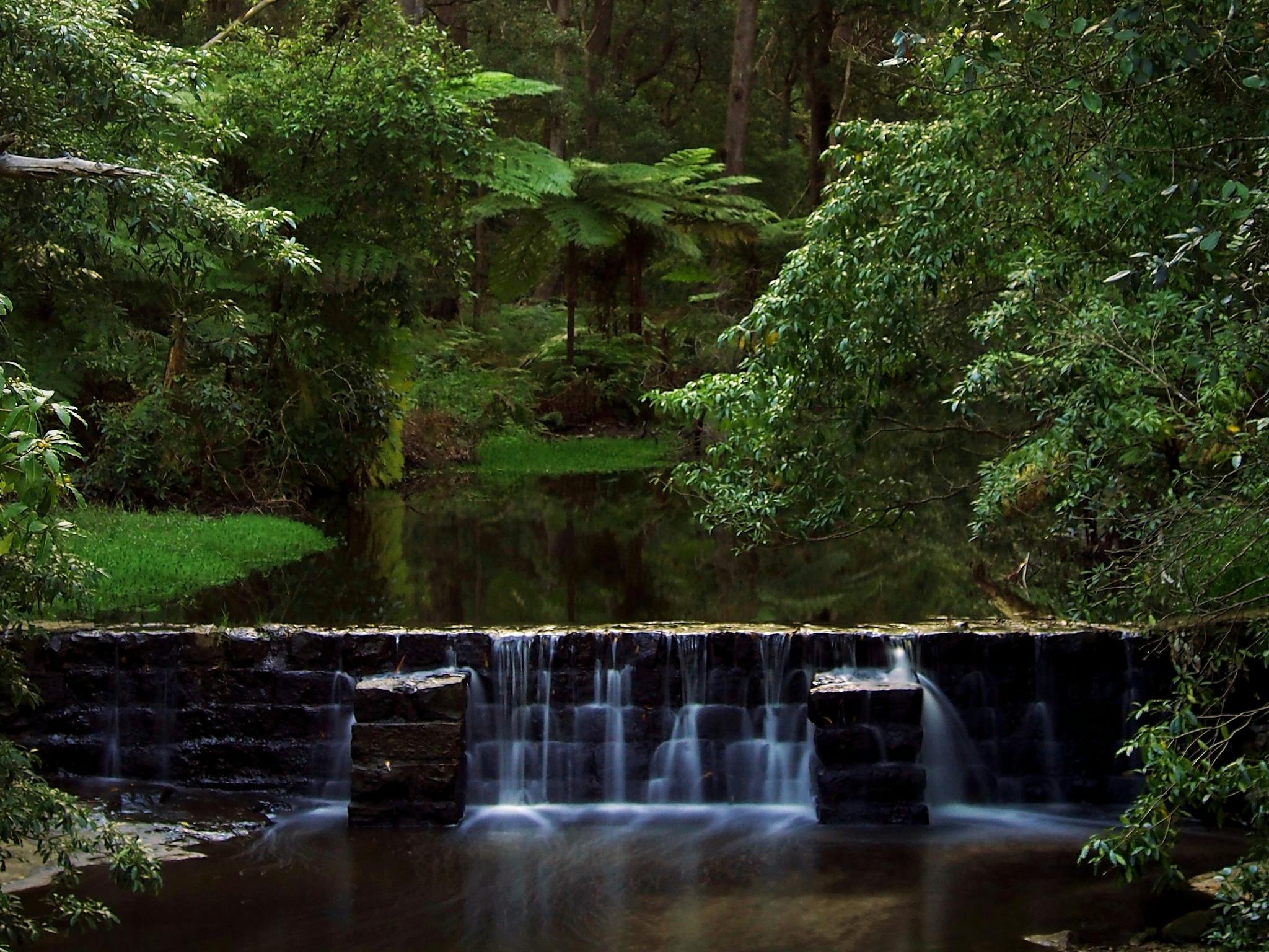 Millards Creek Walk and Cycleway