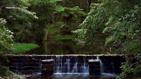 Millards Creek Walk and Cycleway