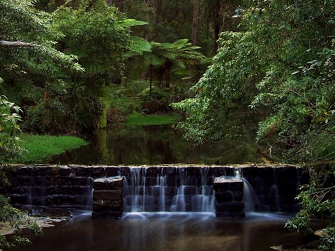 Millards Creek Walk and Cycleway