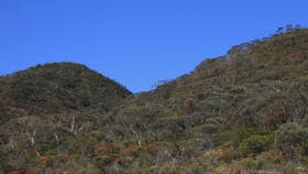 black hill conservation park