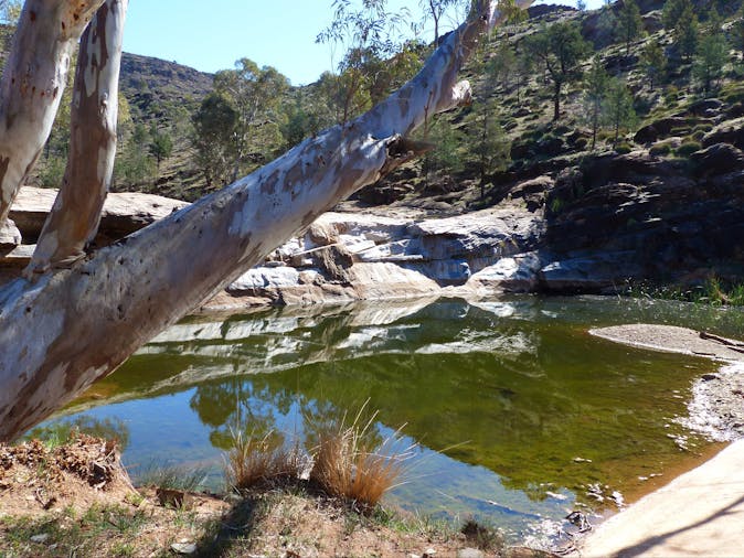 Alpana Station Blinman Pools Tour