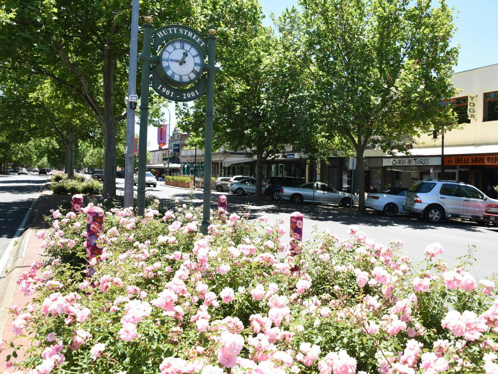 Historic Hutt Street Trail