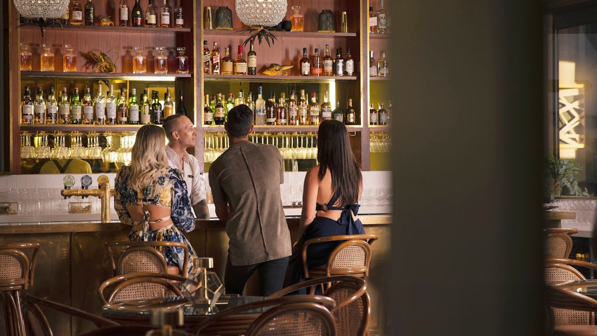 People sitting at bar