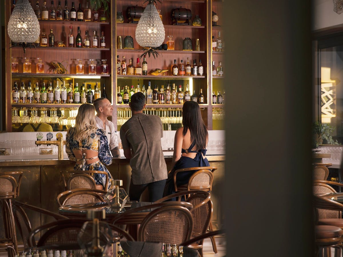 People sitting at bar