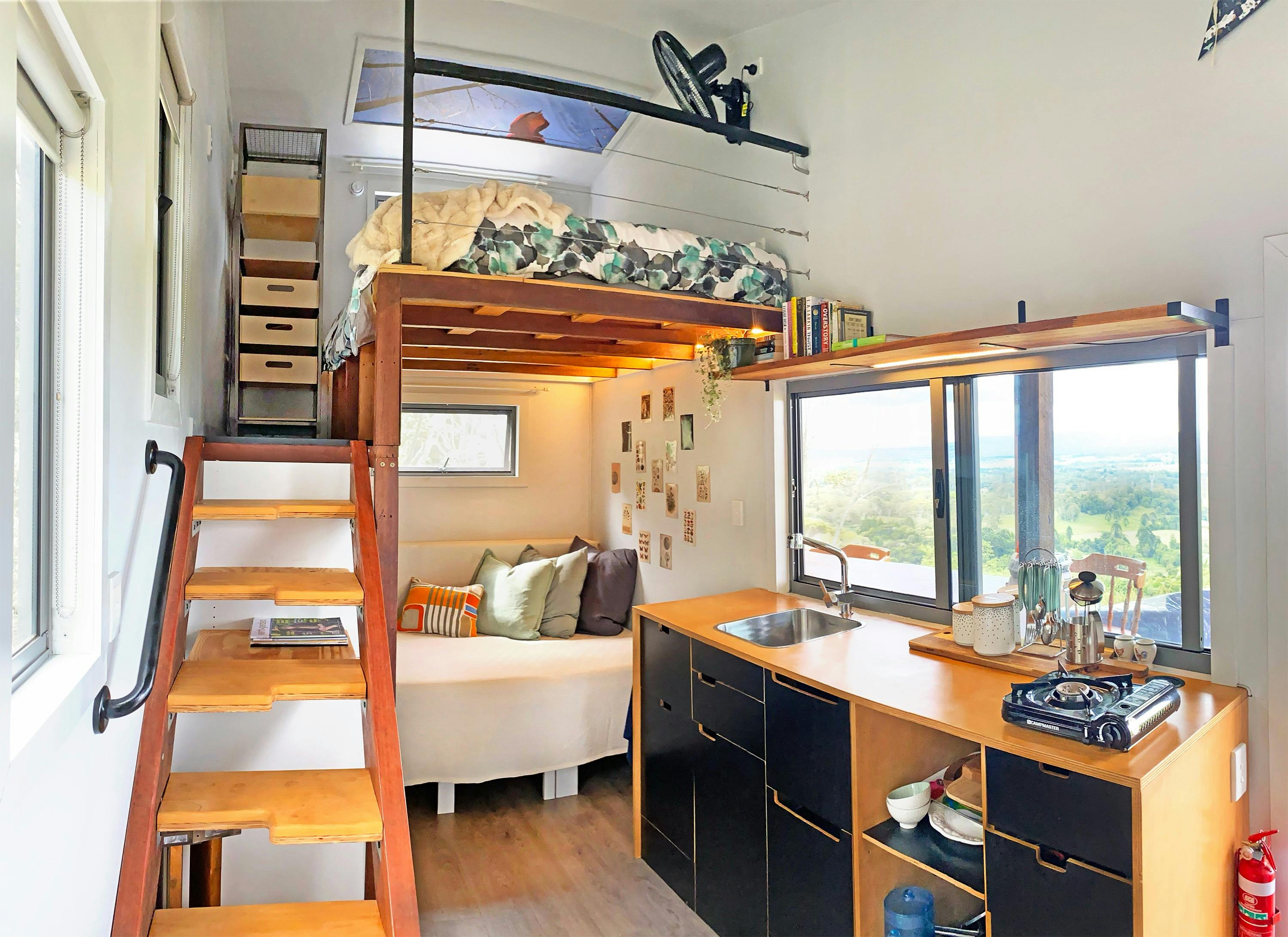 The Avocado Tree Farm