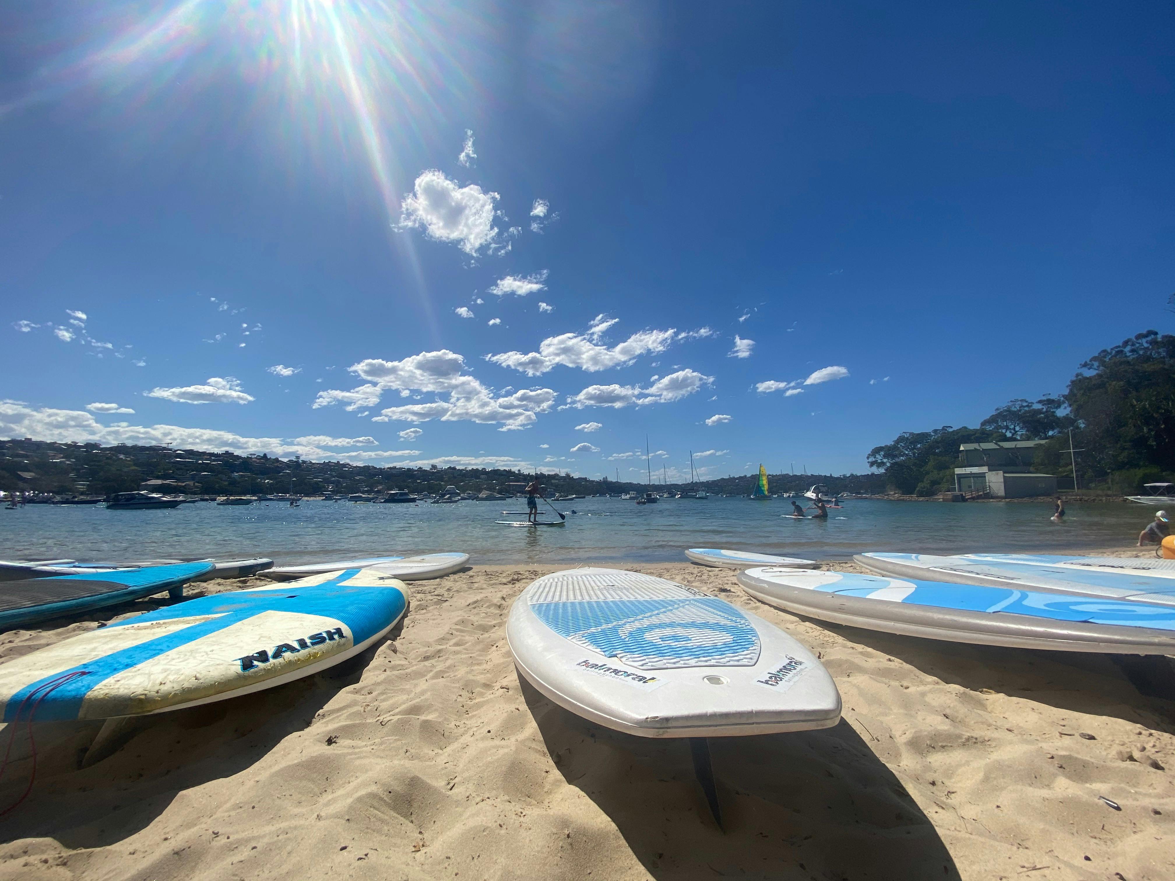 Stand up paddle boards and kayaks
