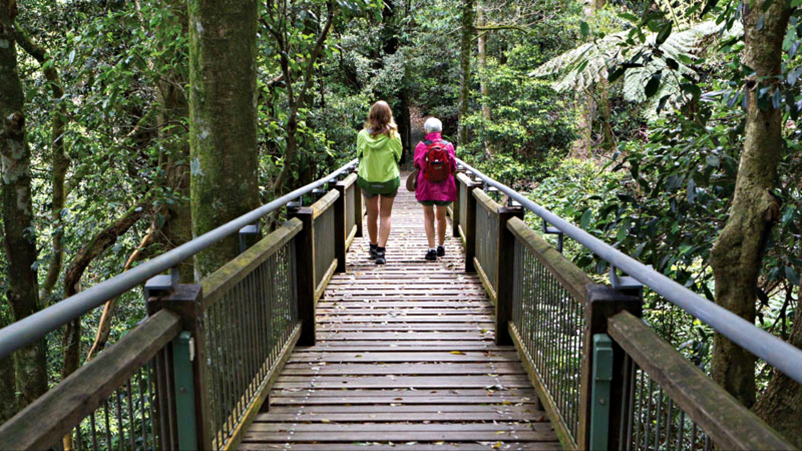 Wonga Walk | NSW Holidays & Accommodation, Things to Do, Attractions