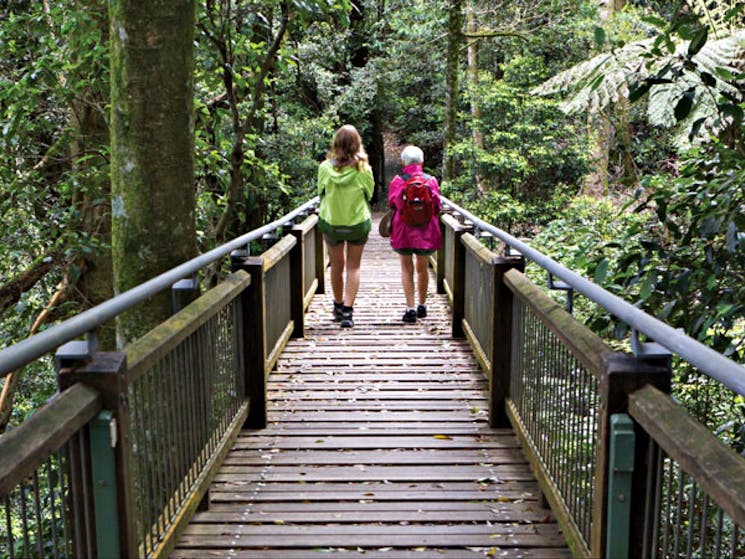 Two people walking on the Wonga walk boardwalk. Photo: Rob Cleary