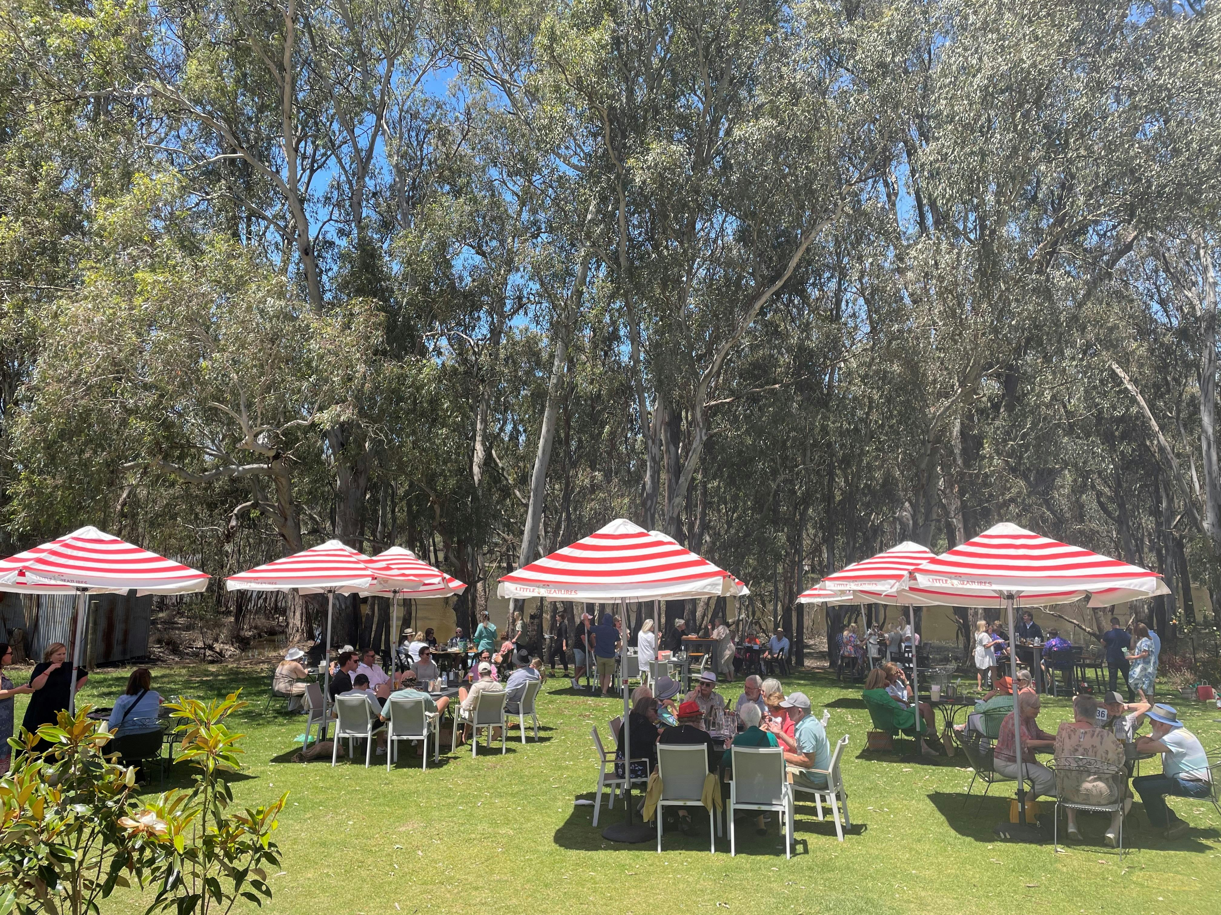 Squires Winery